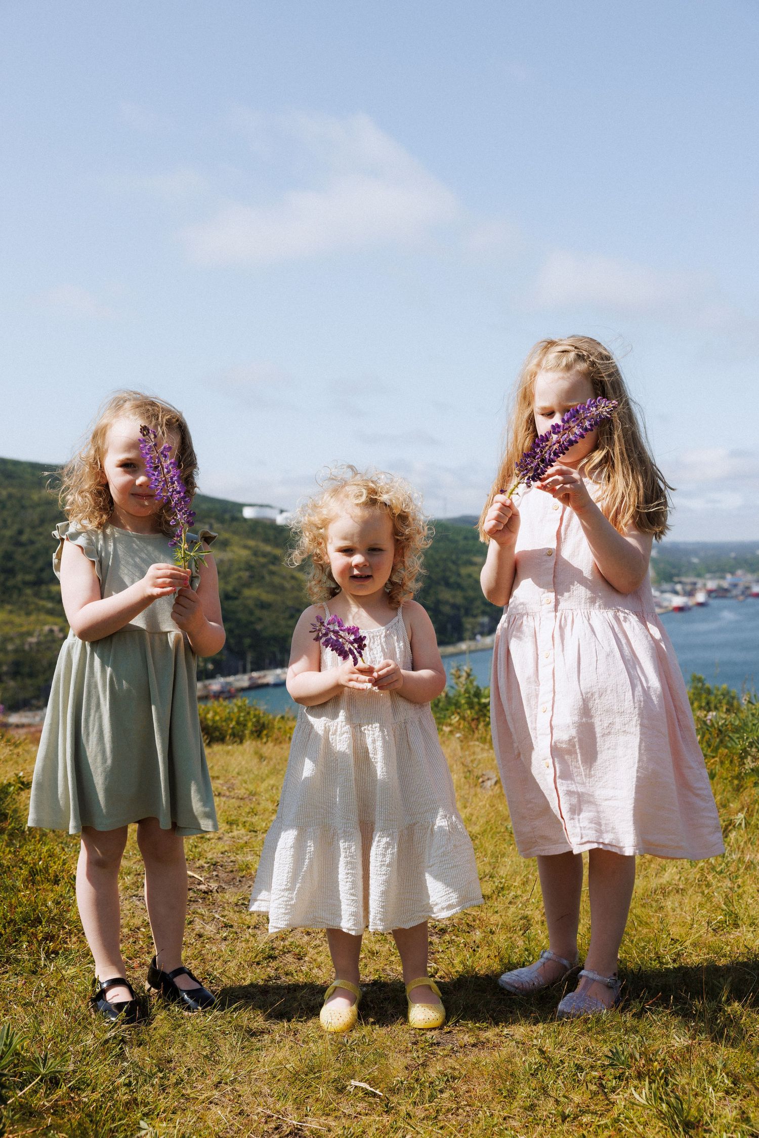 Family Session in St. John's Newfoundland by Documentary Wedding and Lifestyle Photographer Kaitlyn Yvette