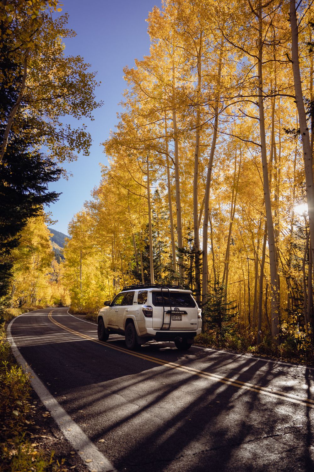 Colorado Fall leaves landscape photography by Travis Sean Studios