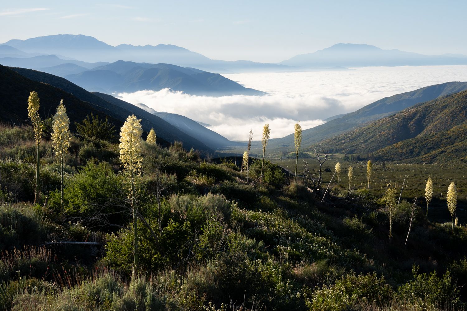 San Gabriel Mountains landscape photography by Travis Sean Studios
