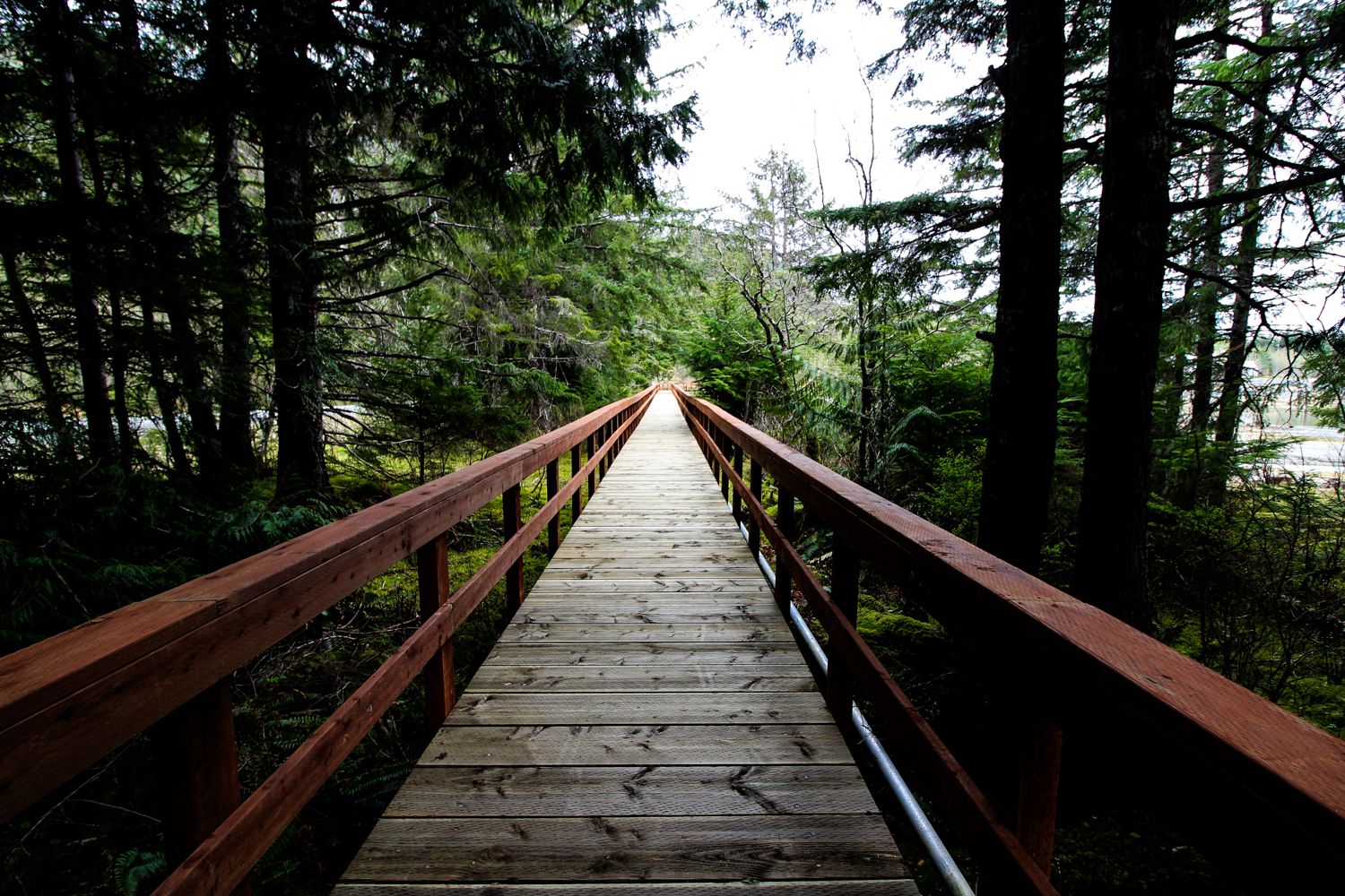 Southeast Alaska landscape photography by Travis Sean Studios