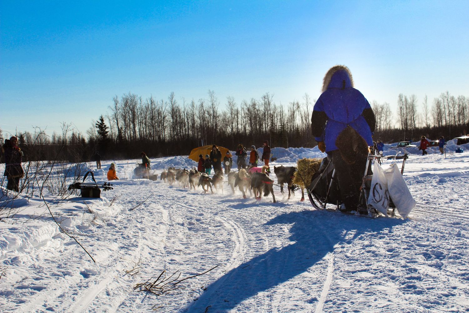 Iditarod Race landscape photography by Travis Sean Studios
