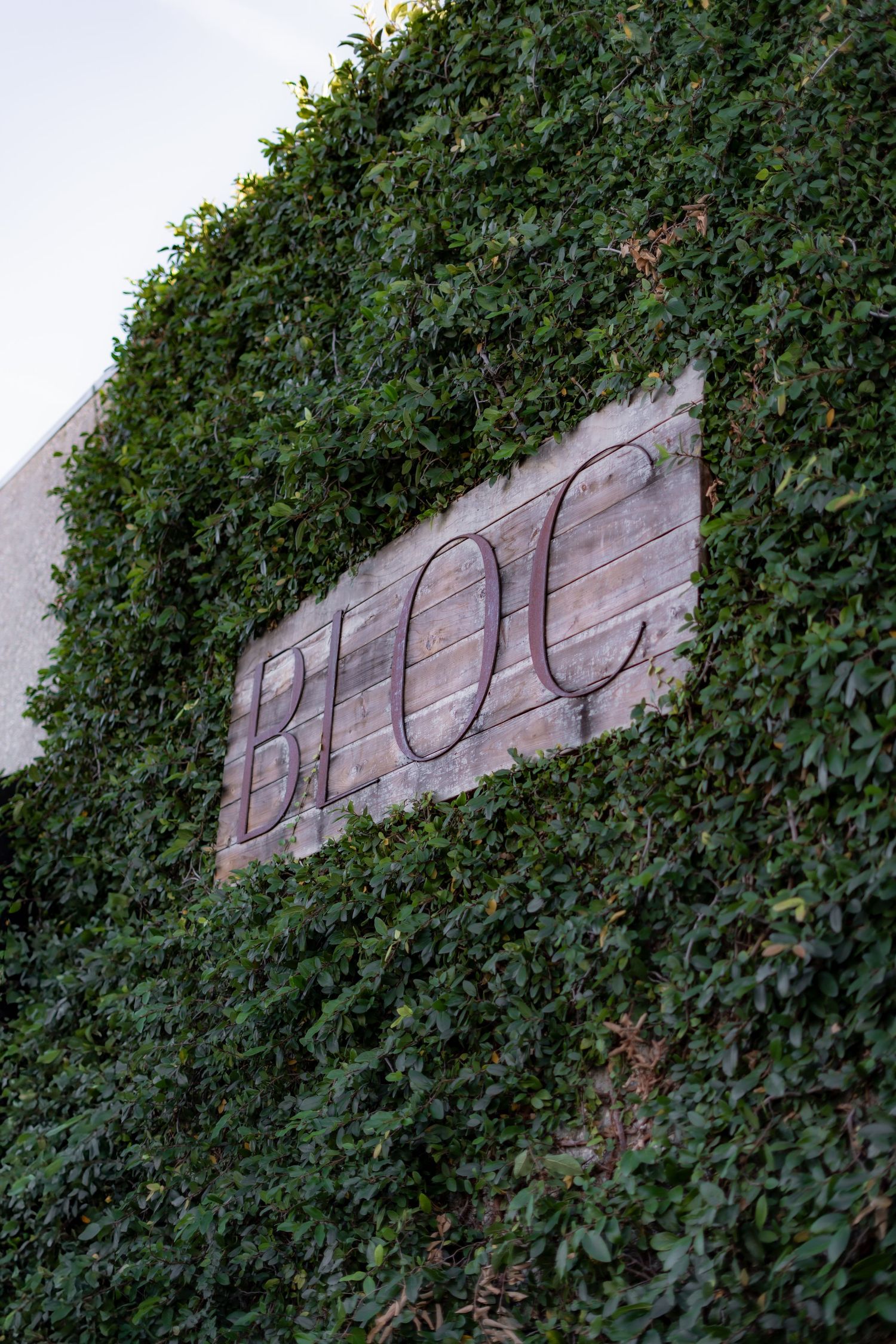 Rustic wooden 'BLOC' sign mounted on wall covered with lush green ivy.