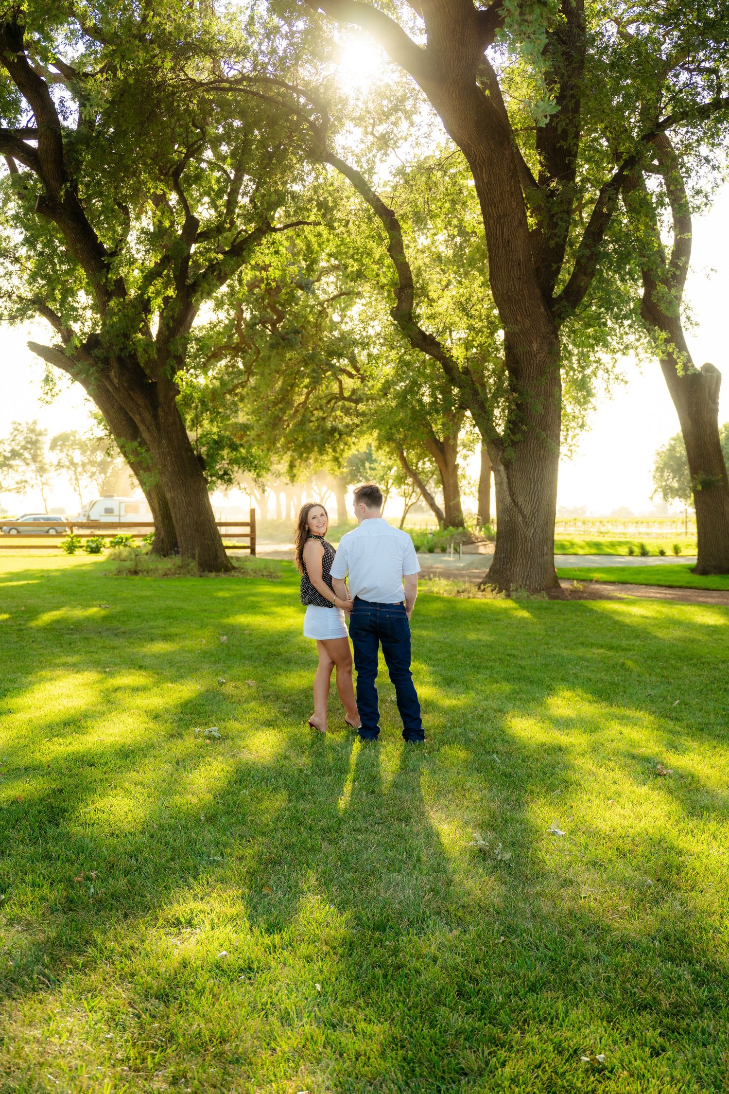 Couple holding hands in a sunlit park with large green trees and lush grass on a warm sunny day.