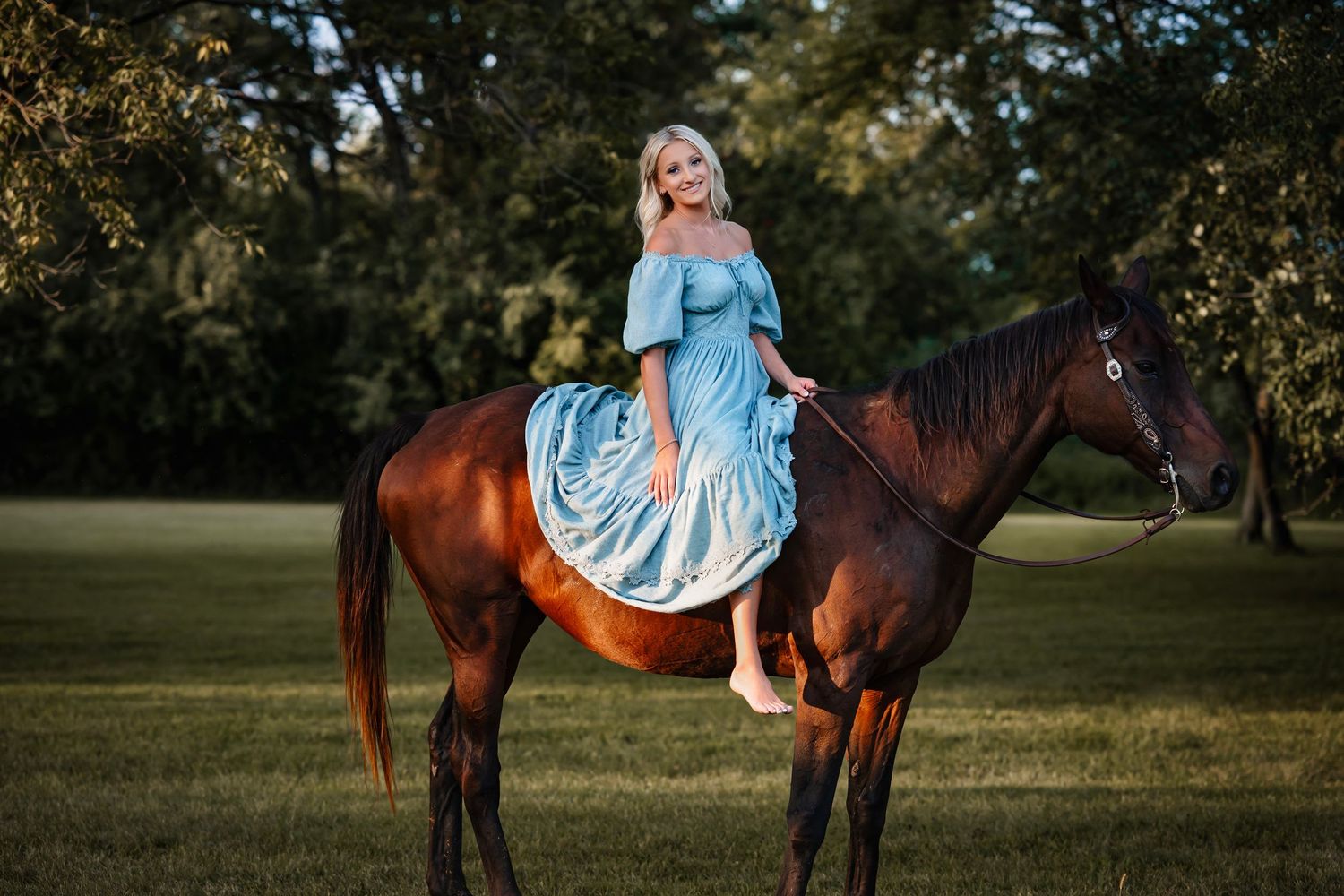A series of photos showing a horse and rider in a light blue dress standing in a sunlit meadow at golden hour.