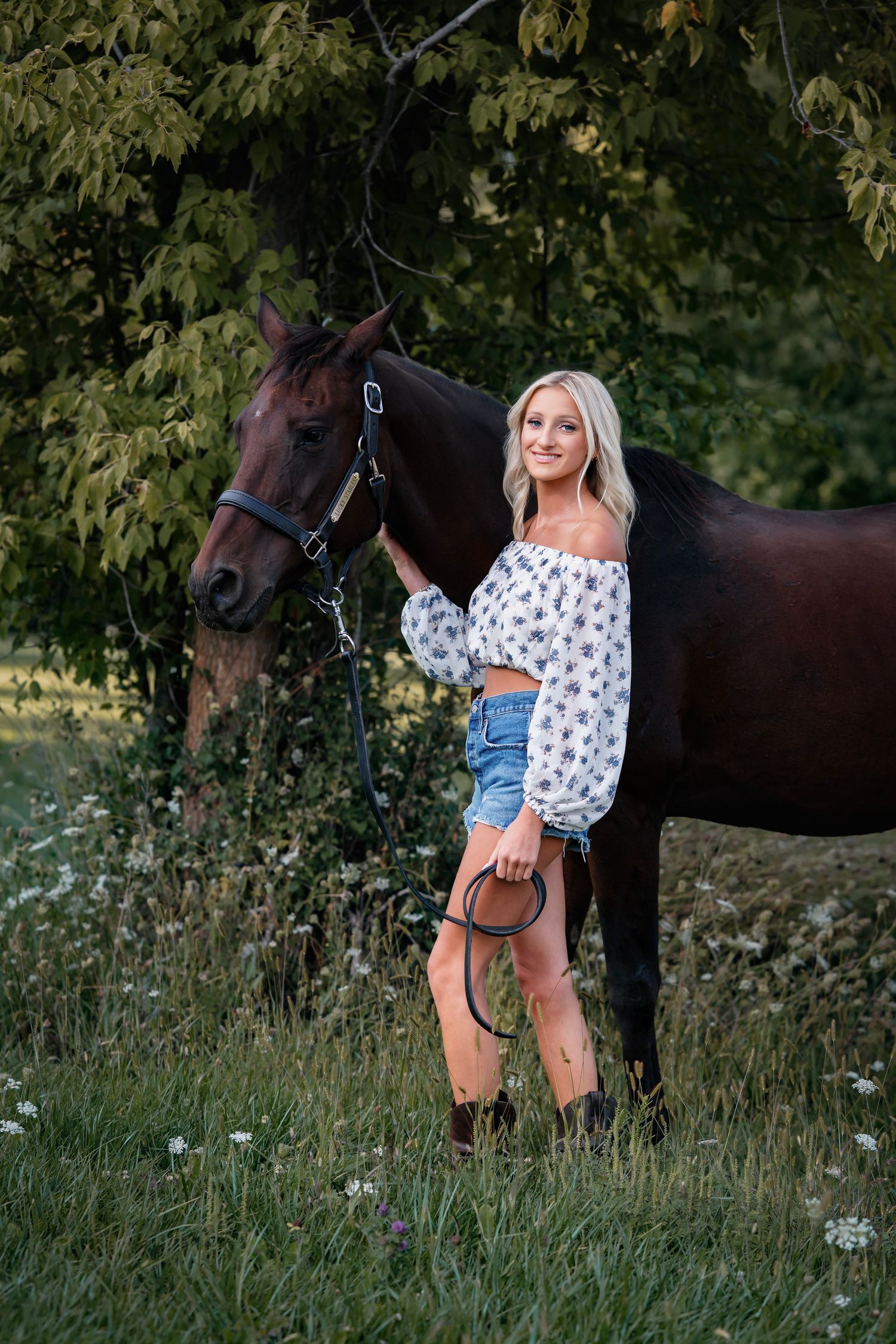A dark brown horse stands in a grassy meadow with wildflowers while being photographed in a summer setting.