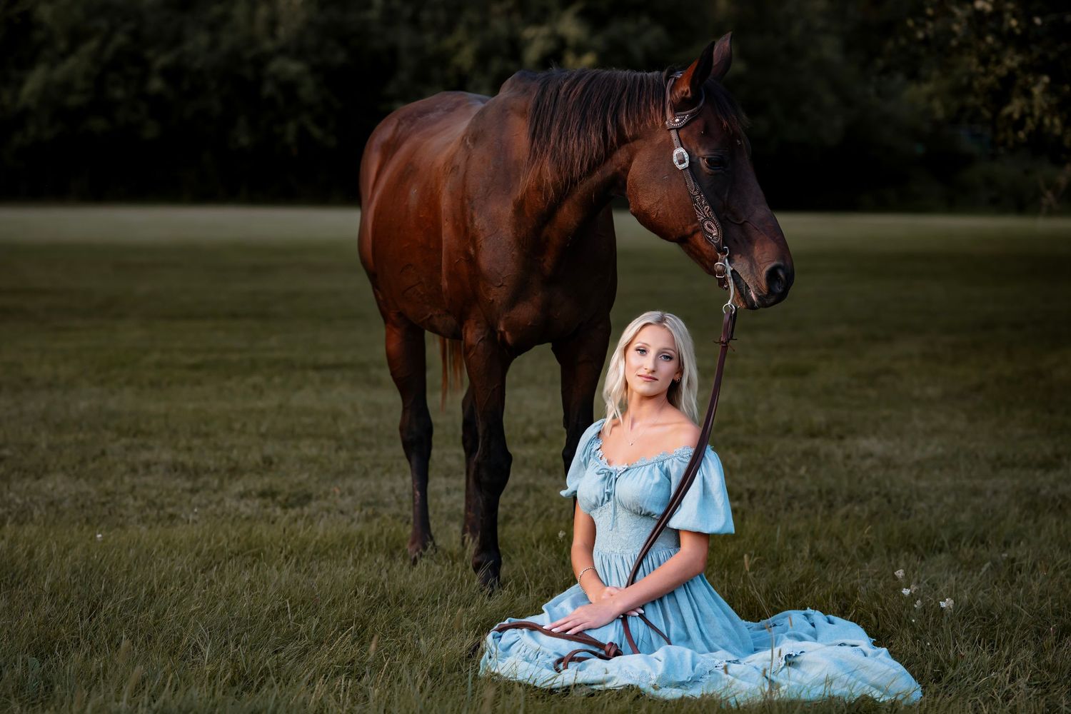 A person in a flowing blue dress poses with a majestic brown horse in a grassy field at sunset.