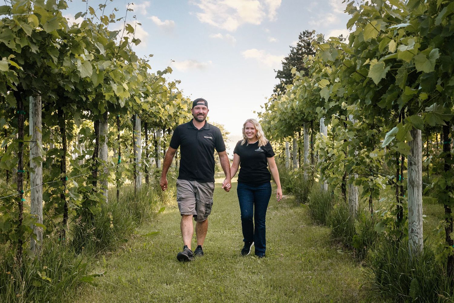 Couple holding hands walking through lush green vineyard rows on a sunny day.