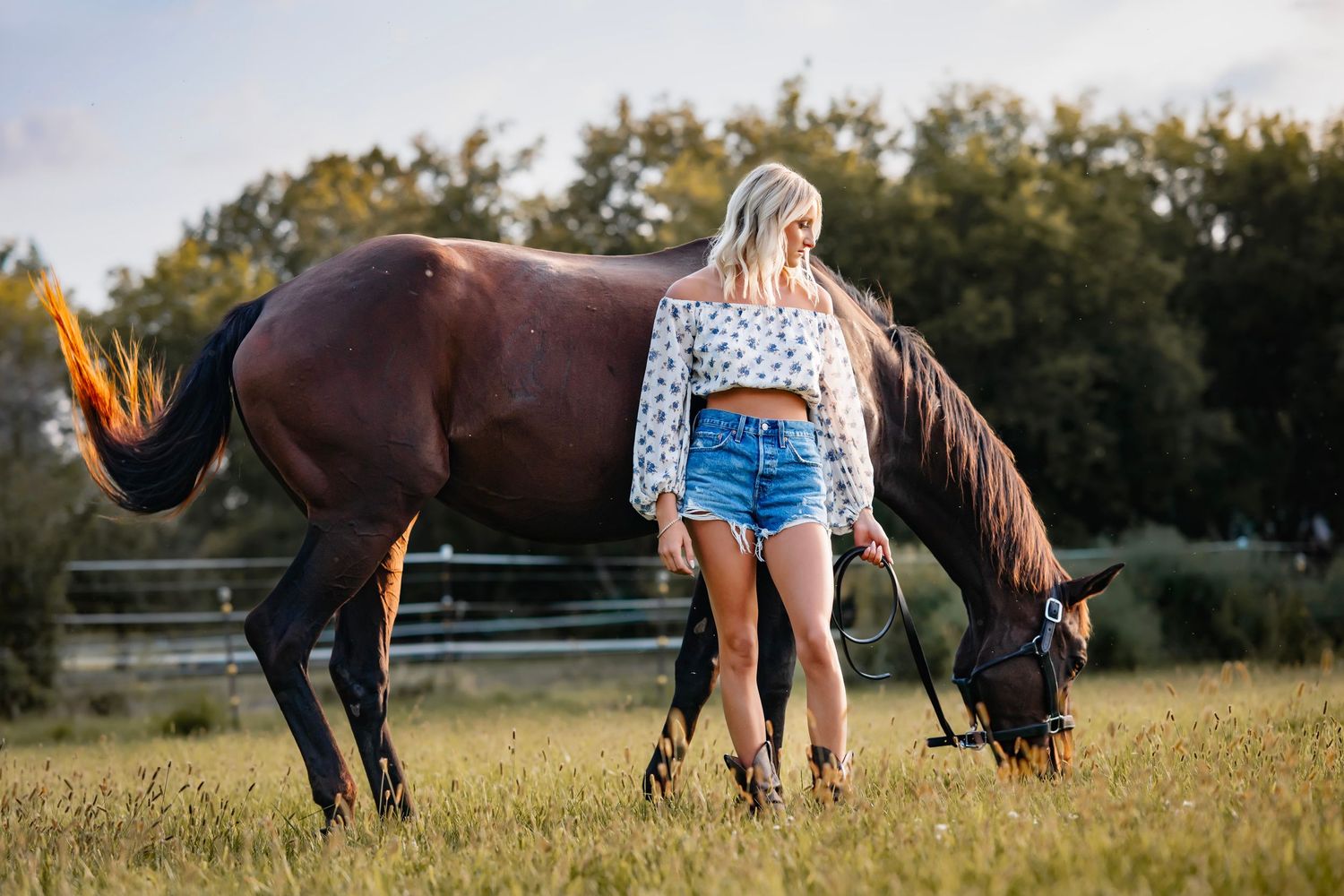 A series of cropped photos showing horses grazing in a field with people in denim shorts standing nearby.