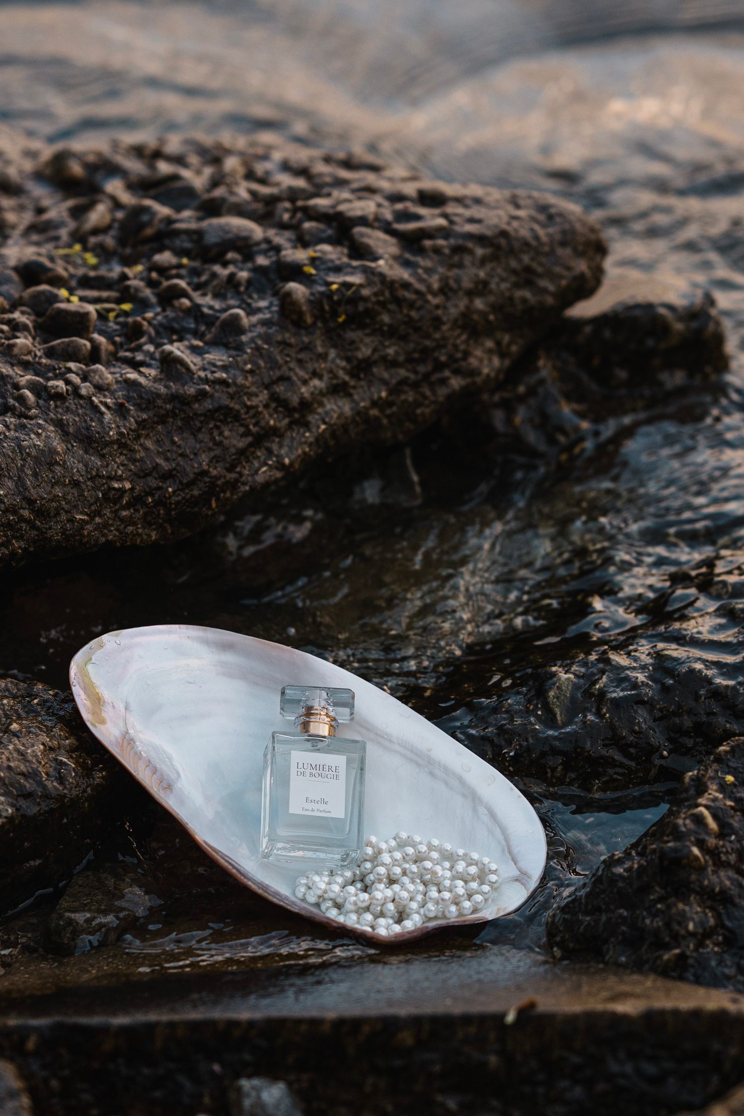 Perfume bottle and pearls displayed on a shell atop dark coastal rocks near water.