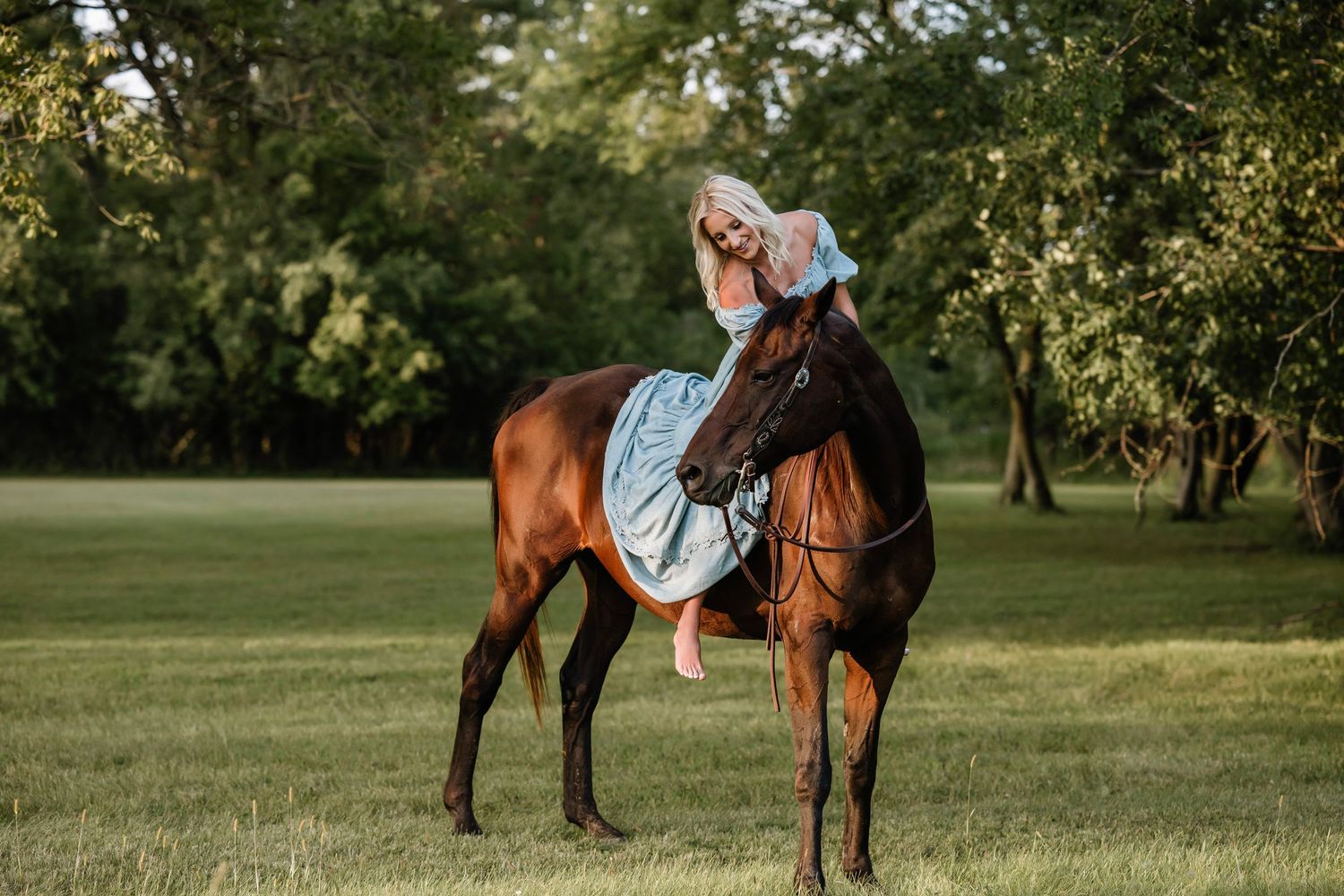 A series of equestrian photos showing a horse and rider in a sunny meadow during golden hour.