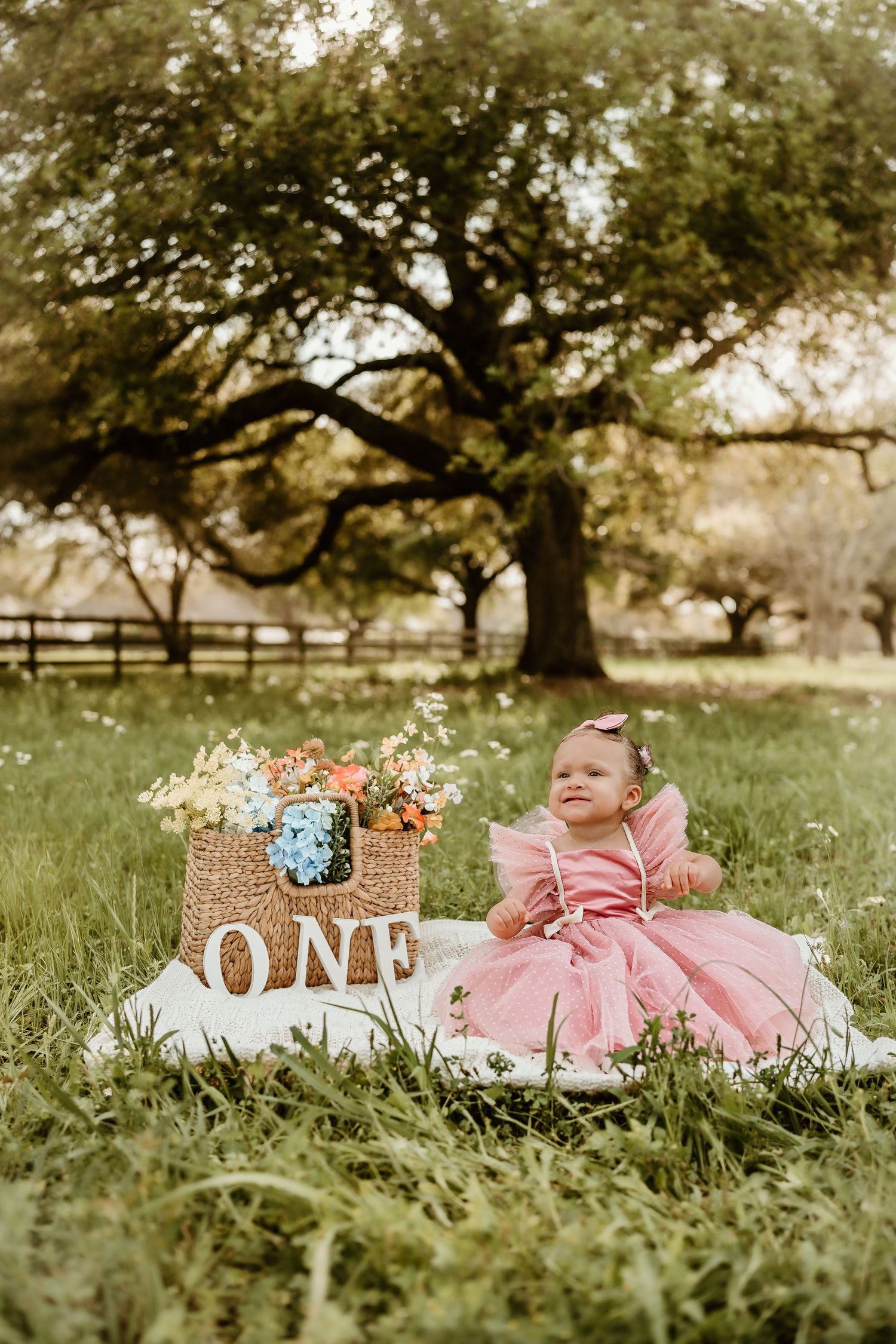 First birthday photo setup with baby in pink dress and decorative ONE sign outdoors.