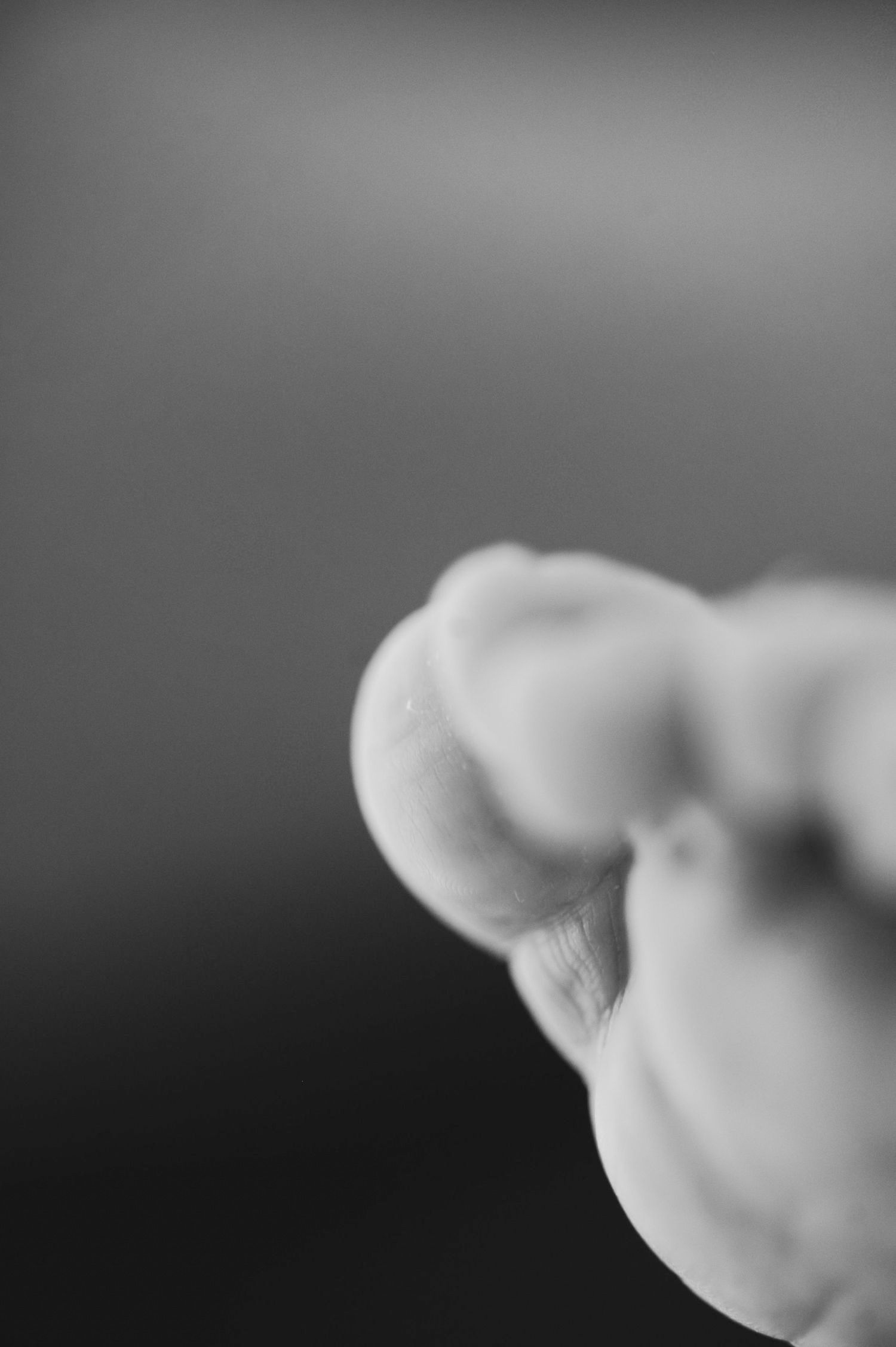 Artistic black and white portrait of a woman with soft, moody lighting. Newborn details toes