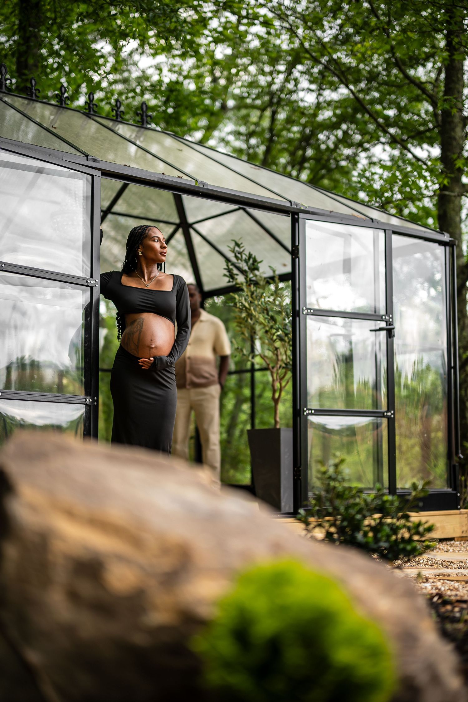 A modern glass greenhouse structure stands in a wooded setting with natural lighting filtering through.