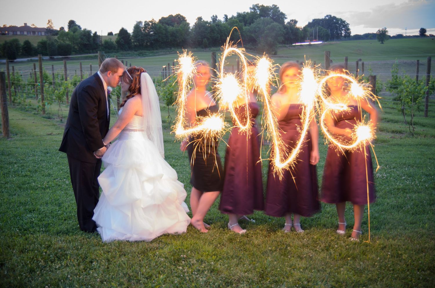 Wedding party creates illuminated LOVE text with sparklers at twilight in a scenic vineyard setting in Sevierville TN.