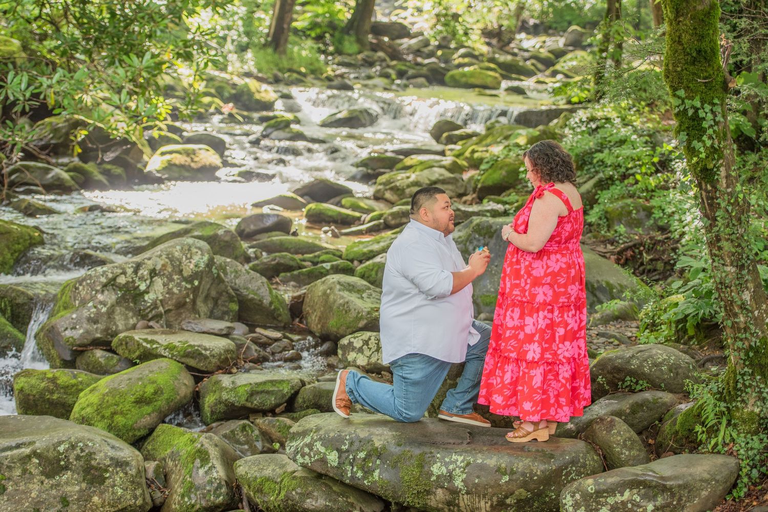 A romantic surprise proposal moment on mossy rocks beside a rushing mountain stream in a lush forest setting by Townsend TN Photographers