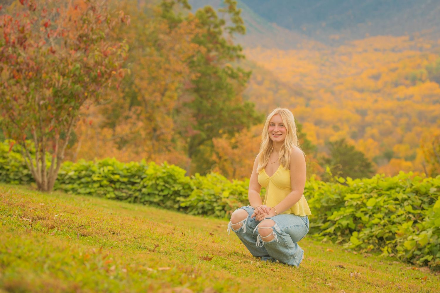 A figure sits on a grassy hillside overlooking beautiful fall foliage in the mountains during sunset.