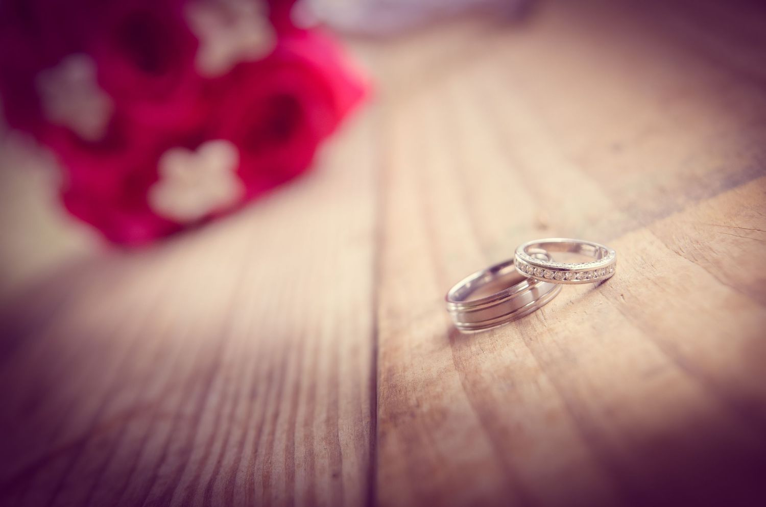 Two silver wedding rings rest on a wooden surface with pink roses blurred in the background in Morristown TN.