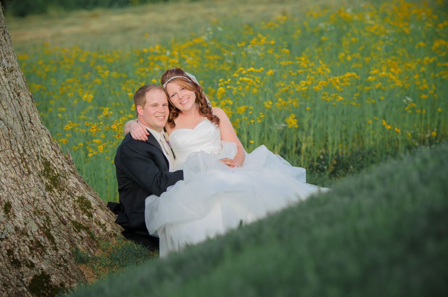A couple in formal wedding attire sits together by a tree trunk in a field of blooming yellow wildflowers in Sevierville TN.