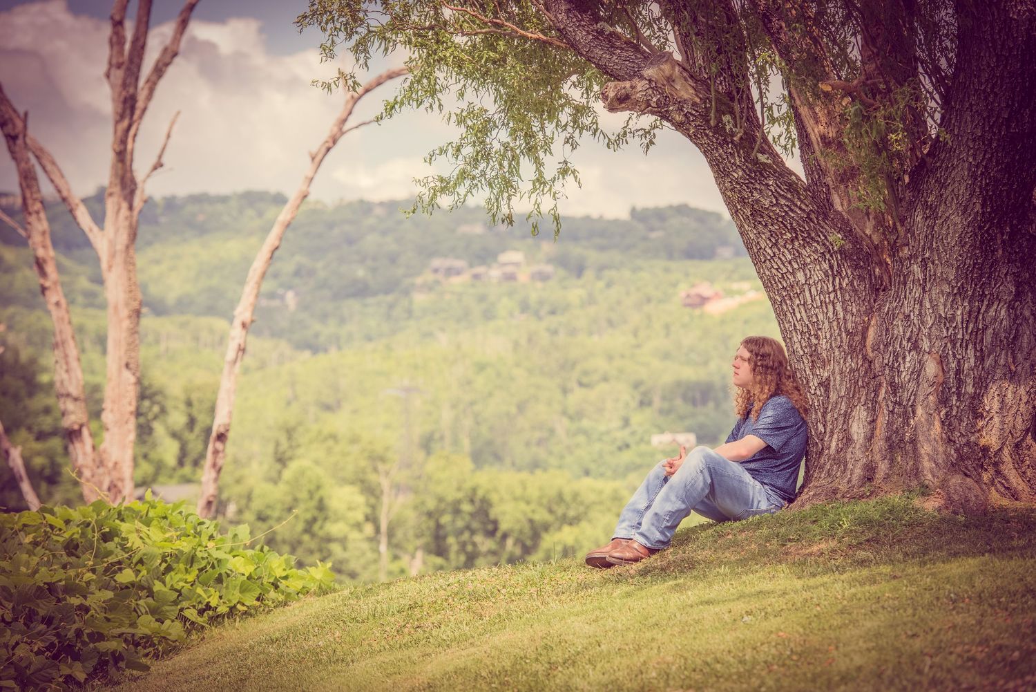 Someone sits peacefully under a large tree on a grassy hillside overlooking a scenic rural landscape.