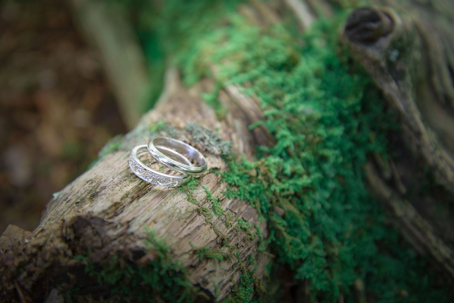 Wedding rings displayed on a rustic wood log with green moss creating a natural forest setting by Gatlinburg Wedding Photographers.