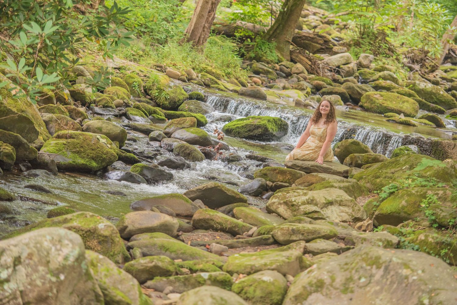 Cascading mountain stream flows over mossy rocks in a lush green forest setting.