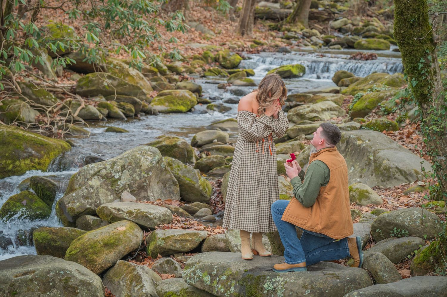 A surprise proposal on mossy rocks beside a flowing mountain stream in an autumn forest setting by Gatlinburg TN Photographers.