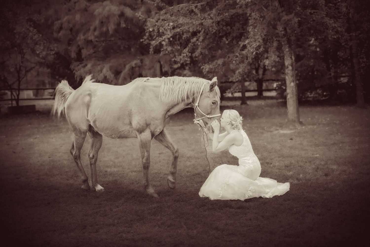 A vintage sepia photograph shows a graceful white horse in a field next to someone wearing a flowing white dress in Cosby TN.
