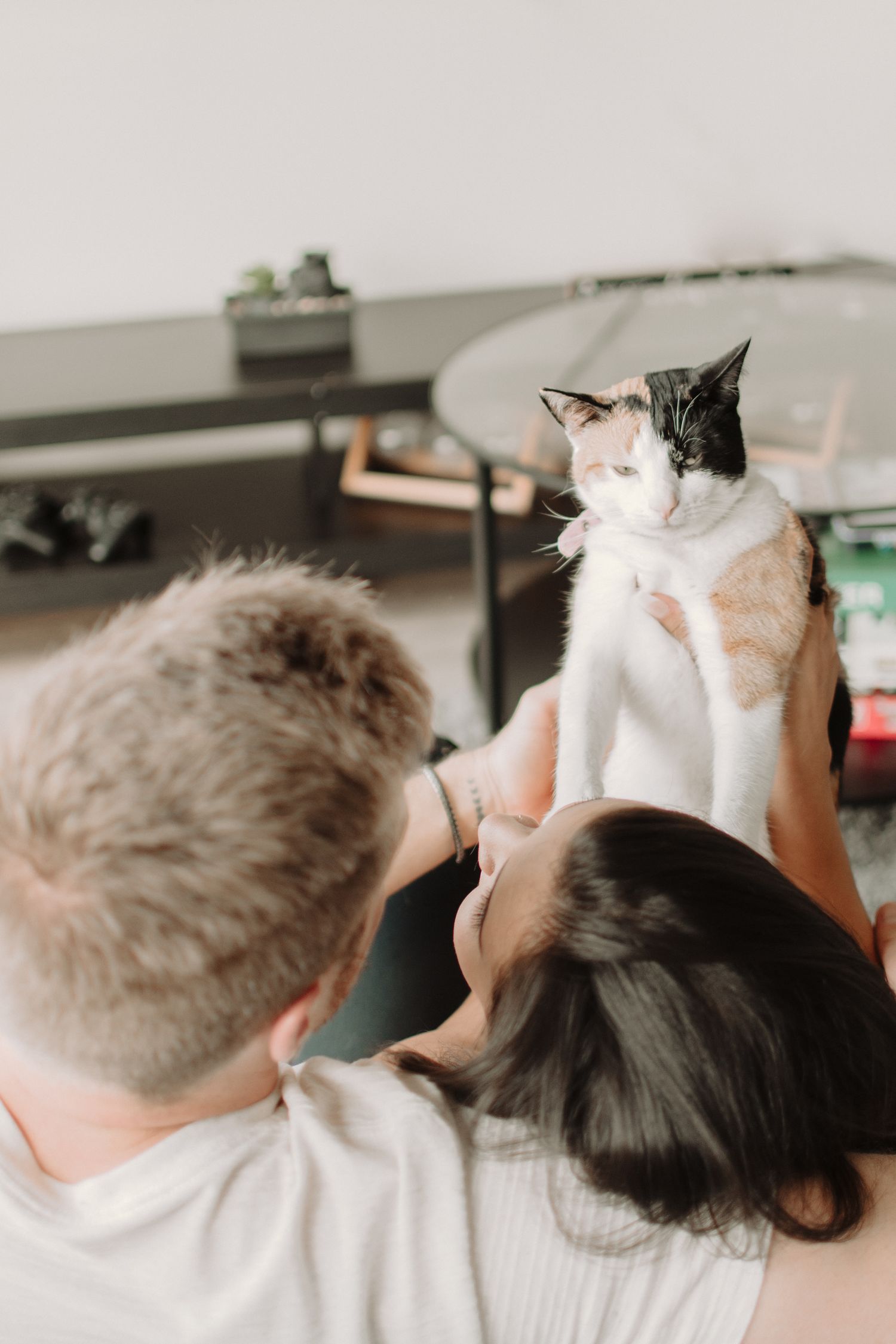 Cat sits on a couch while being petted by two people relaxing at home.