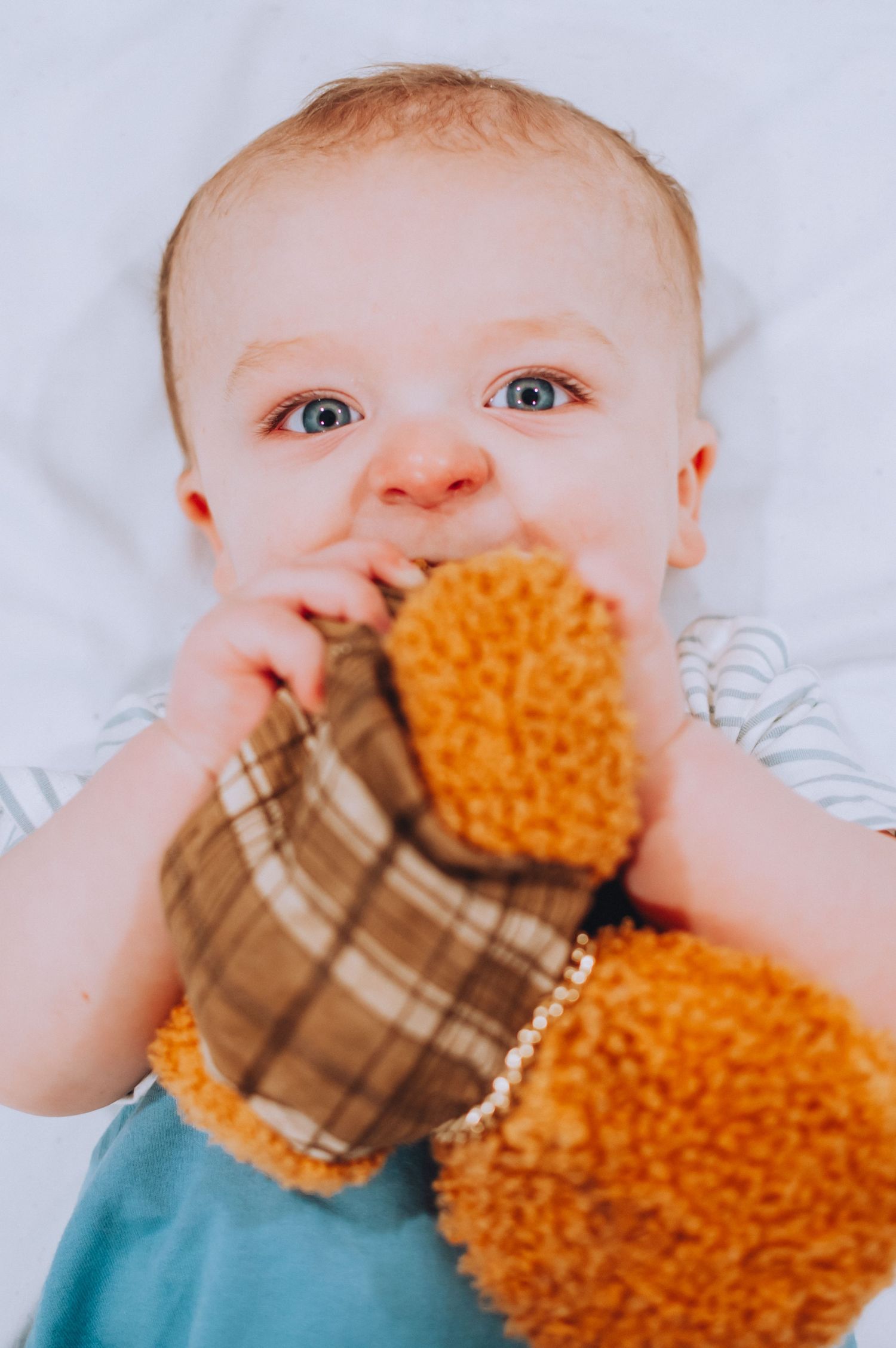 Baby in blue outfit clutches orange plush toy close to face while on white bedding.