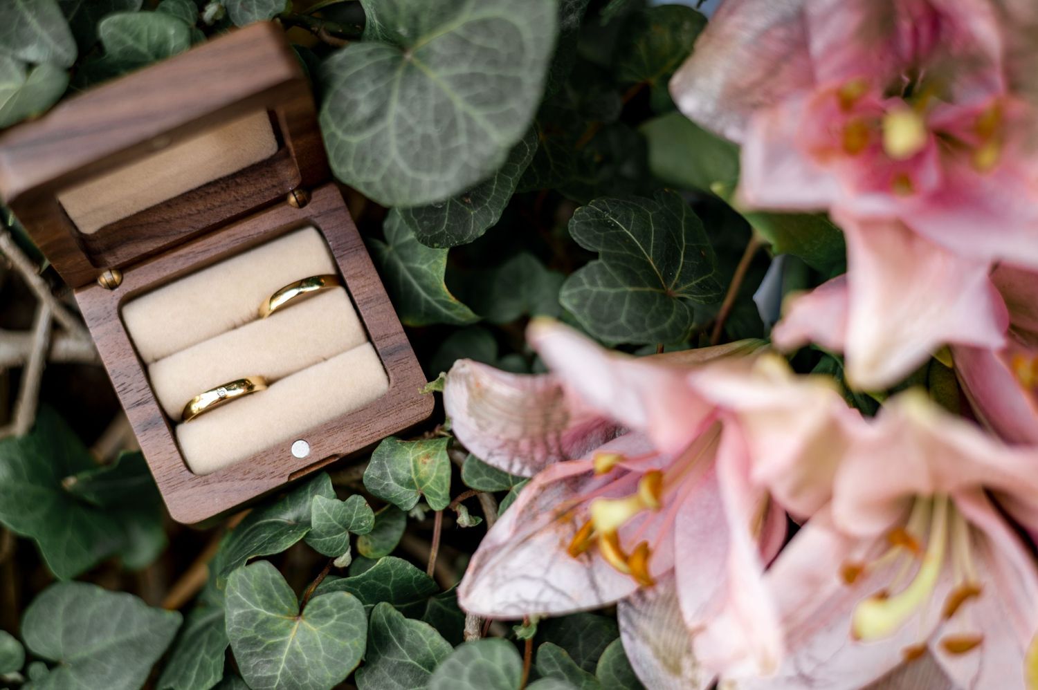 Wedding rings in wooden box surrounded by pink lilies and green foliage.