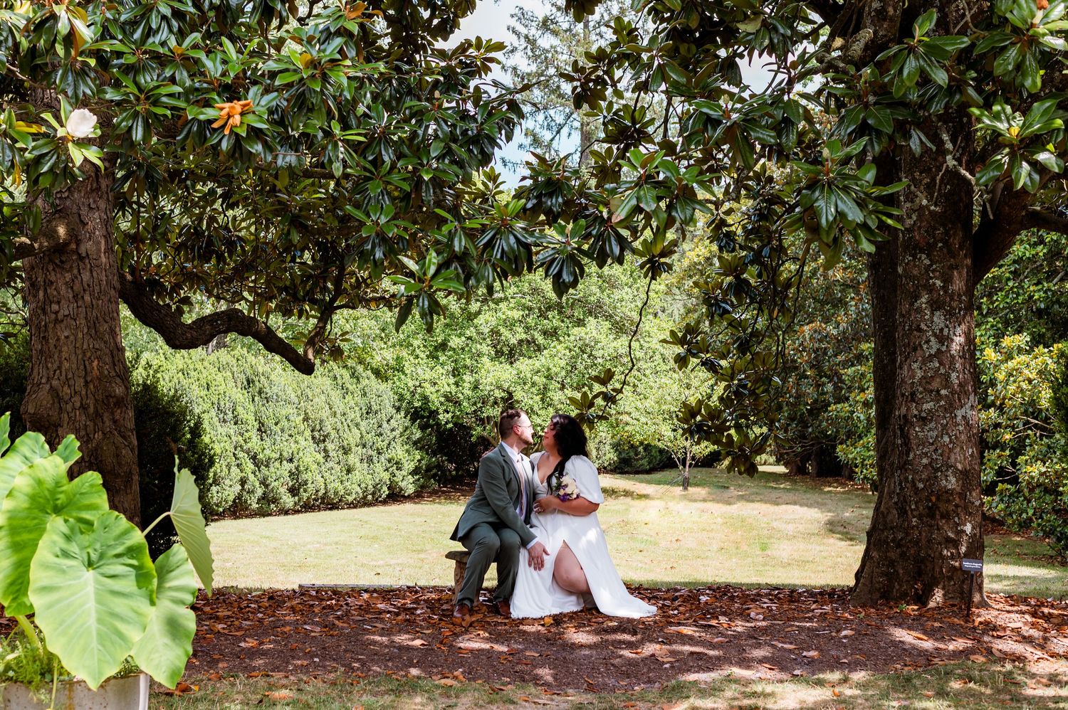 A couple sits together under lush magnolia trees in a peaceful garden setting with green foliage all around.