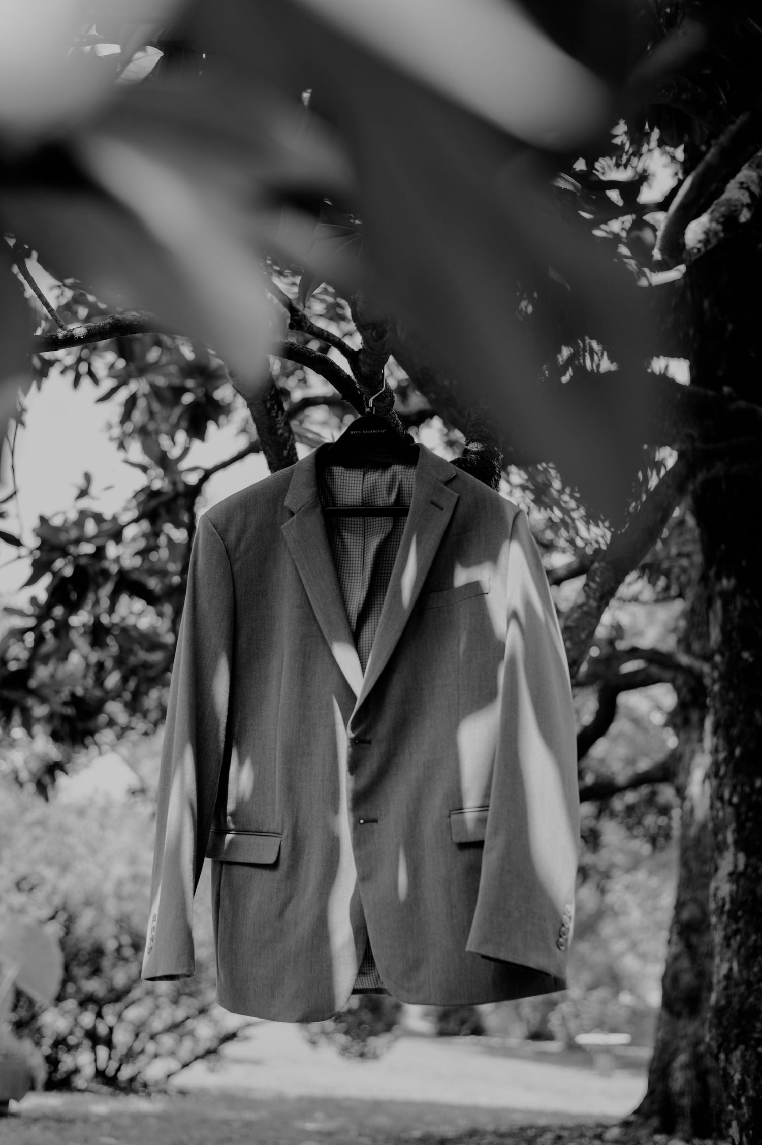 A black and white photo of a suit jacket hanging from a tree branch with foliage in soft focus.