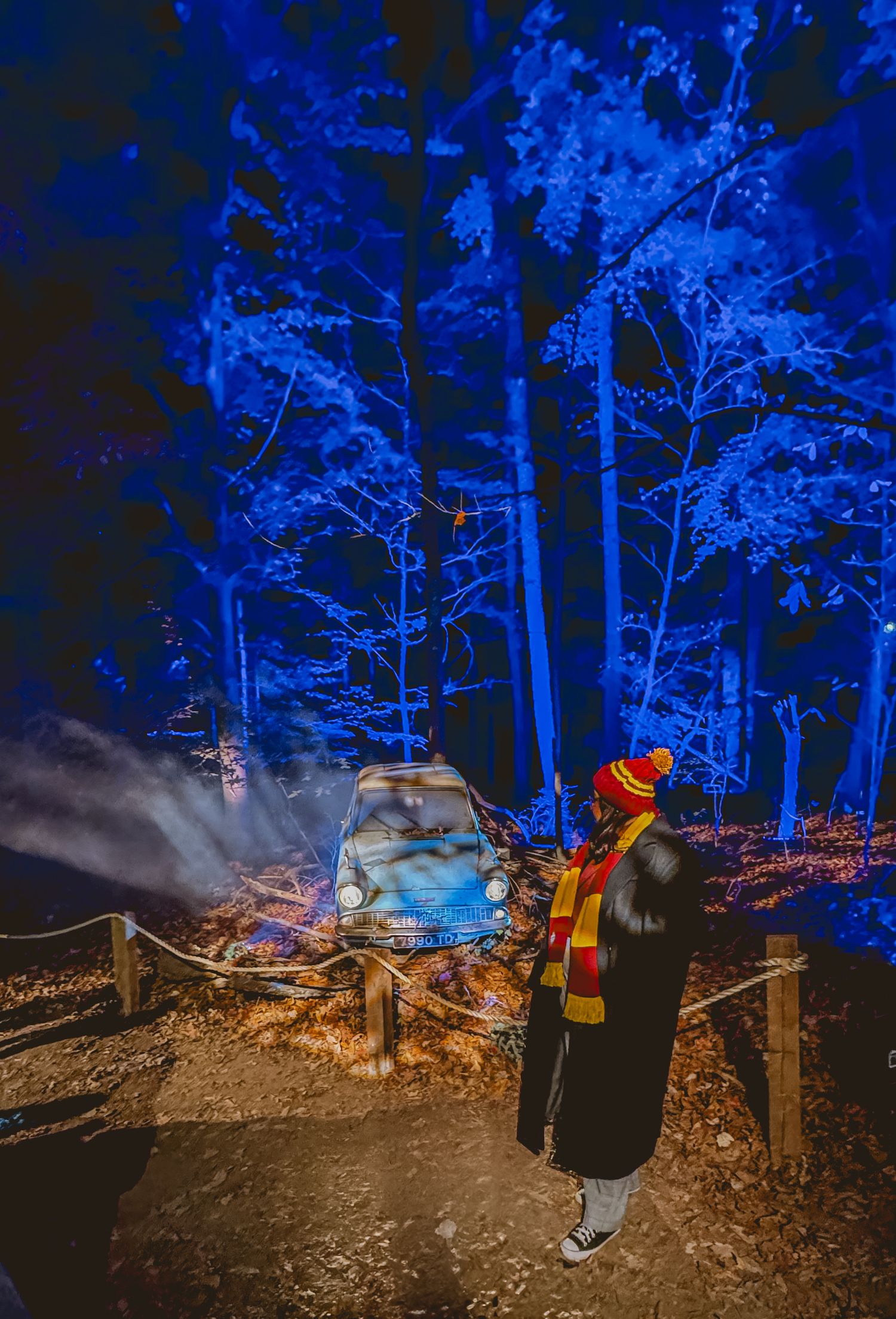 Person in winter clothing stands near illuminated trees glowing in vibrant blue at a nighttime forest display.