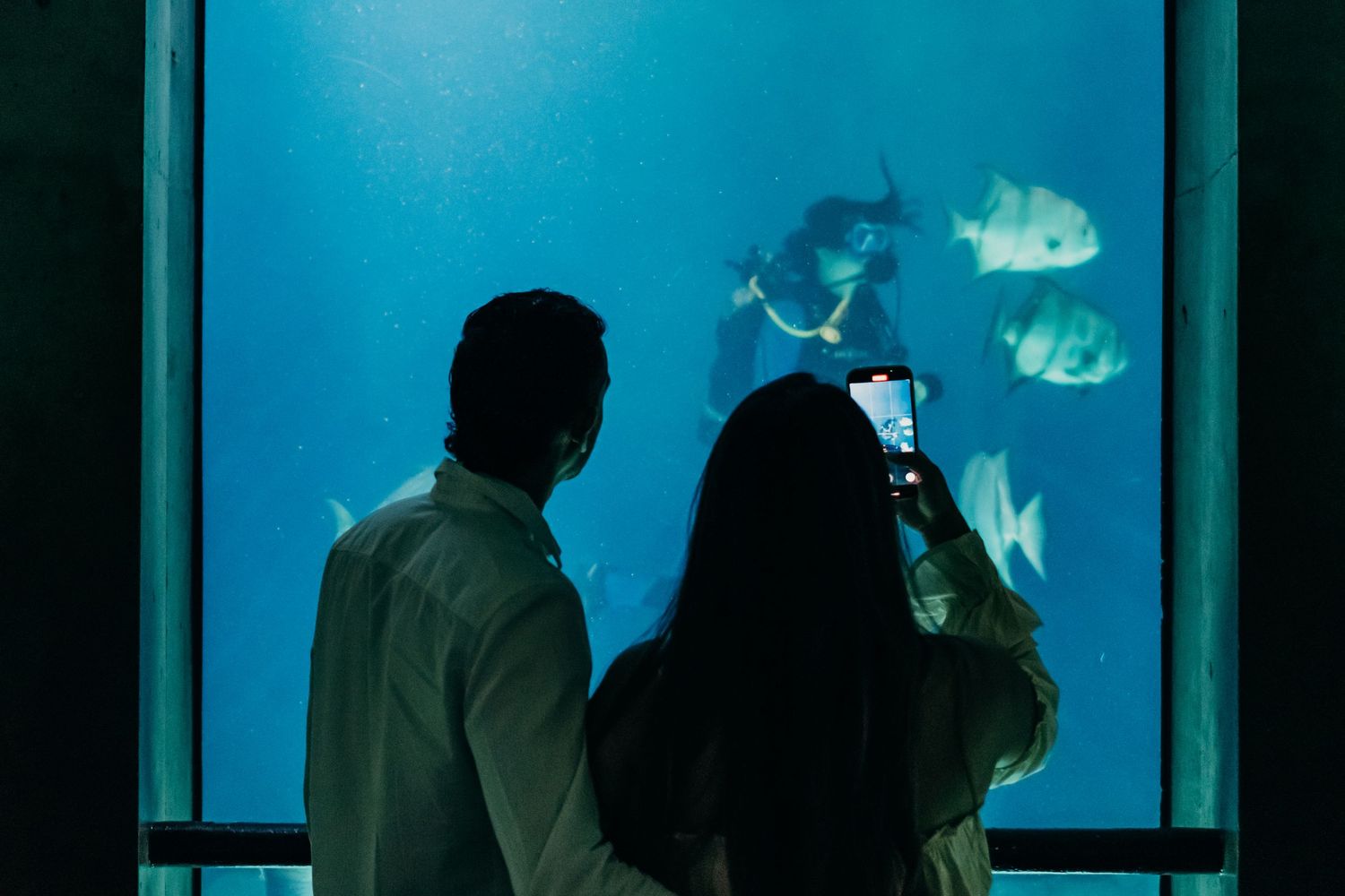 Silhouettes of two people watching tropical fish swim in a large illuminated aquarium tank with blue lighting.