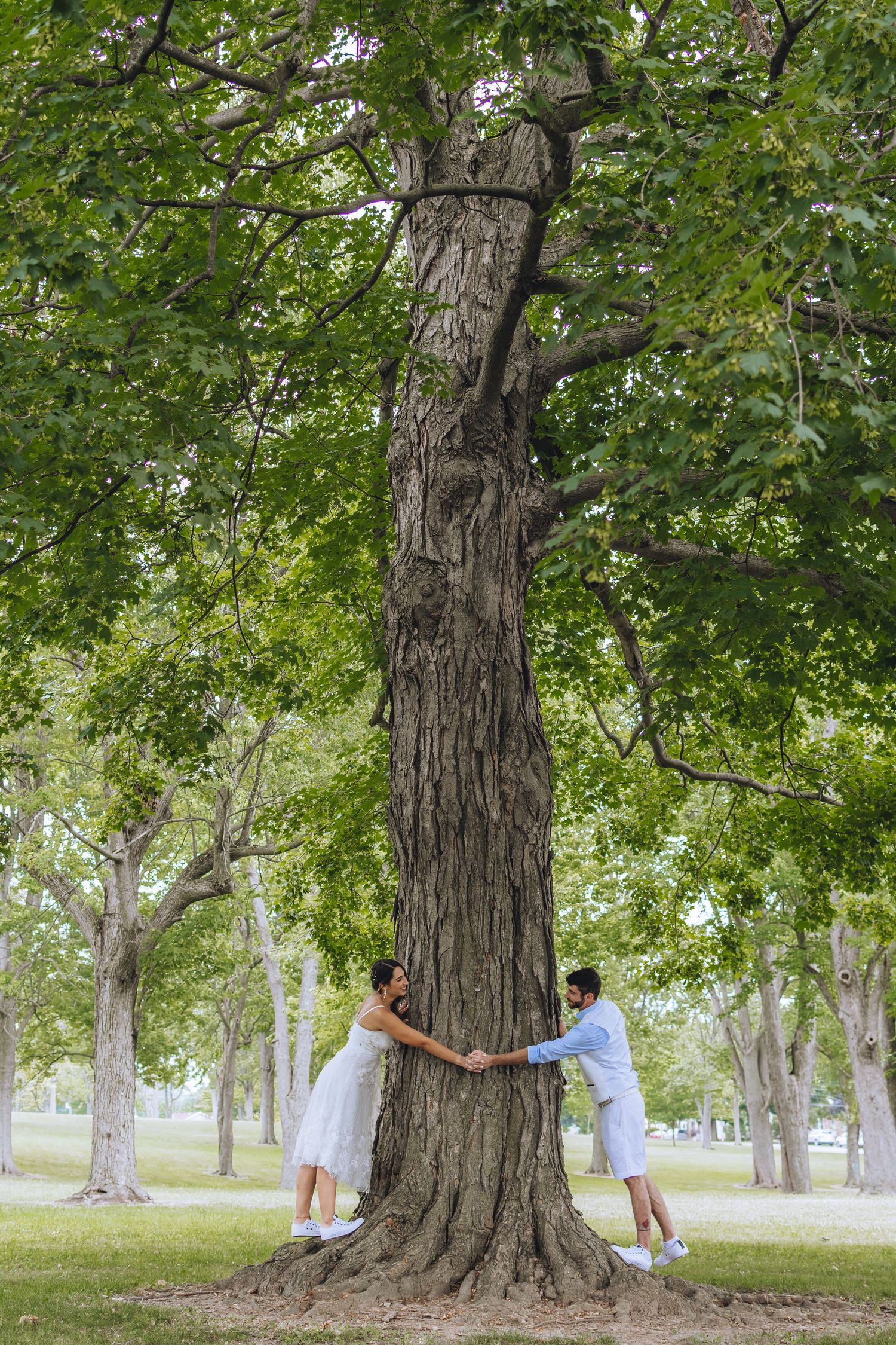 A couple playfully poses around a large oak tree trunk in a lush green park setting.