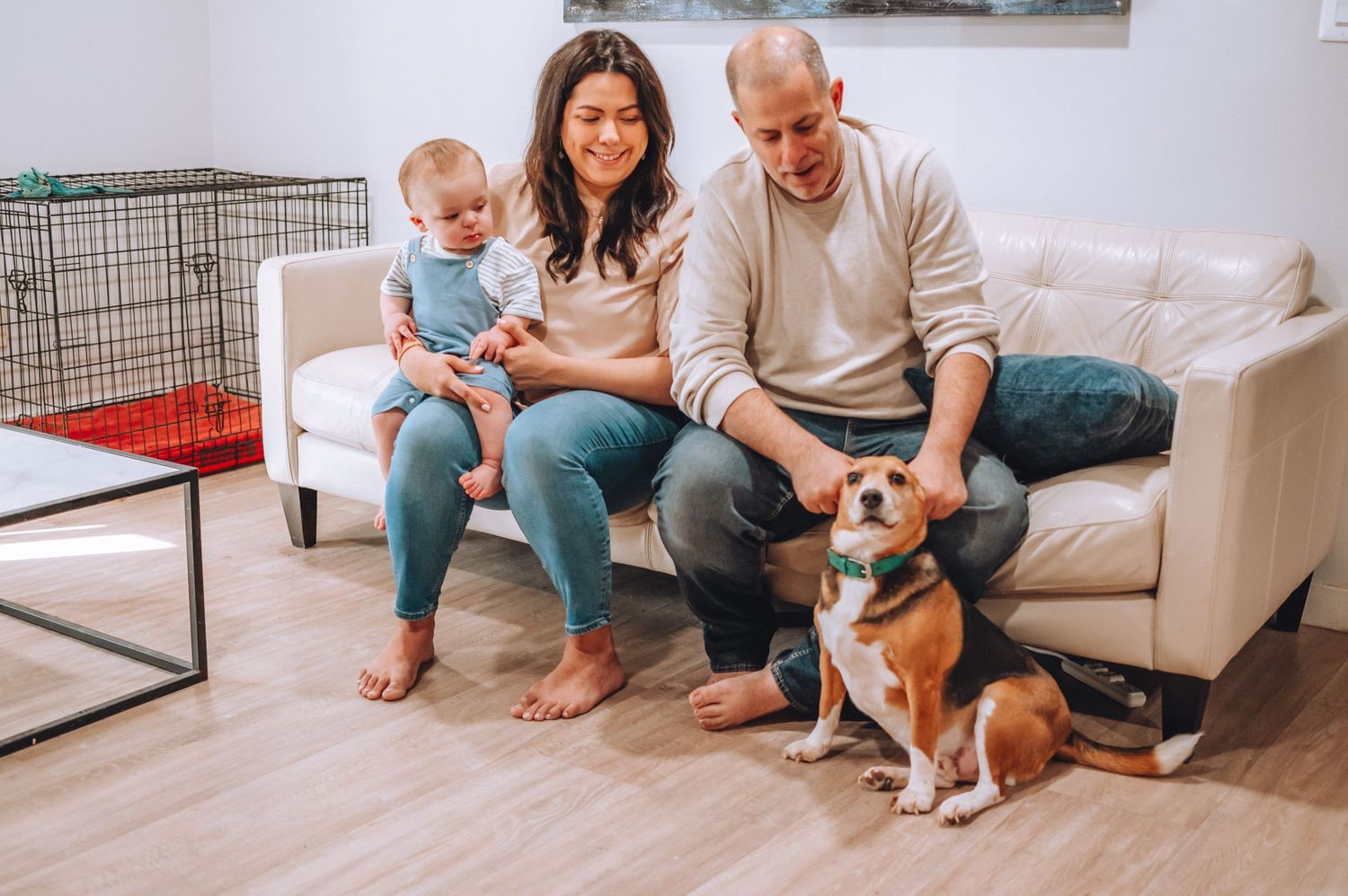 Family sitting on couch with their Beagle dog in modern living room.