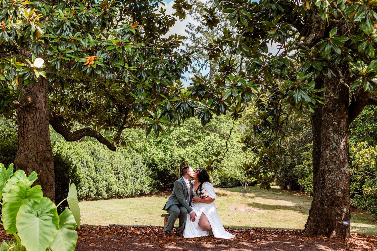 A couple sits intimately on a bench beneath large magnolia trees in a lush garden setting.