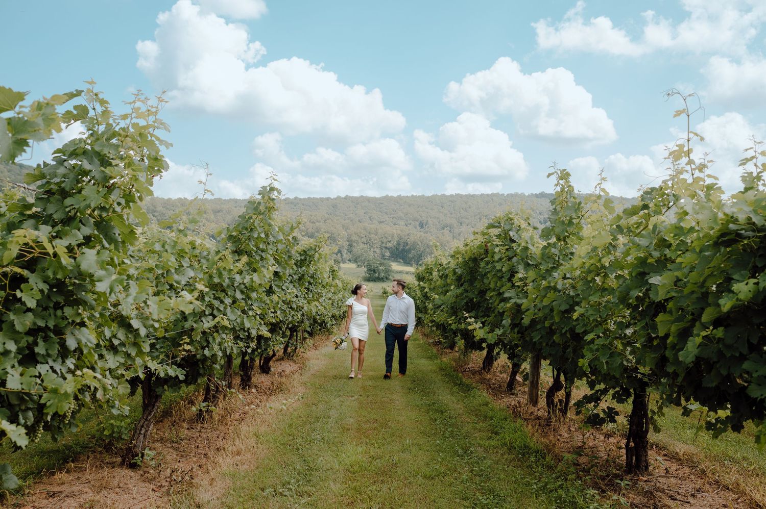 A couple walks together between rows of grapevines at a hillside vineyard under blue skies.