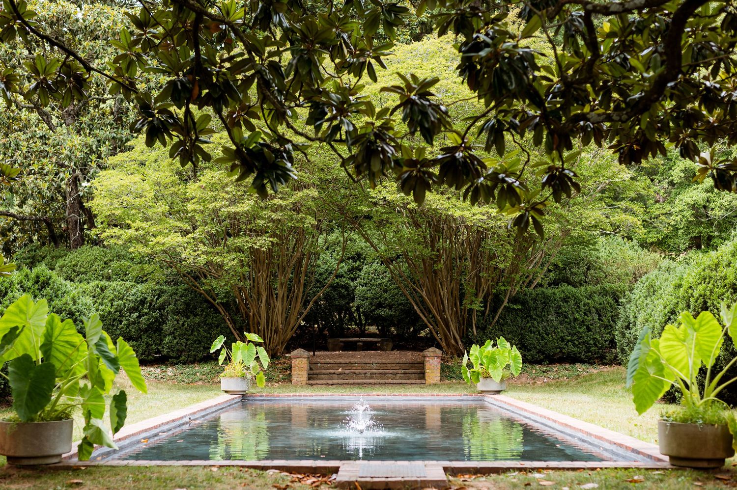 A serene garden pool with fountains surrounded by tropical plants and a wooden bench under magnolia trees.