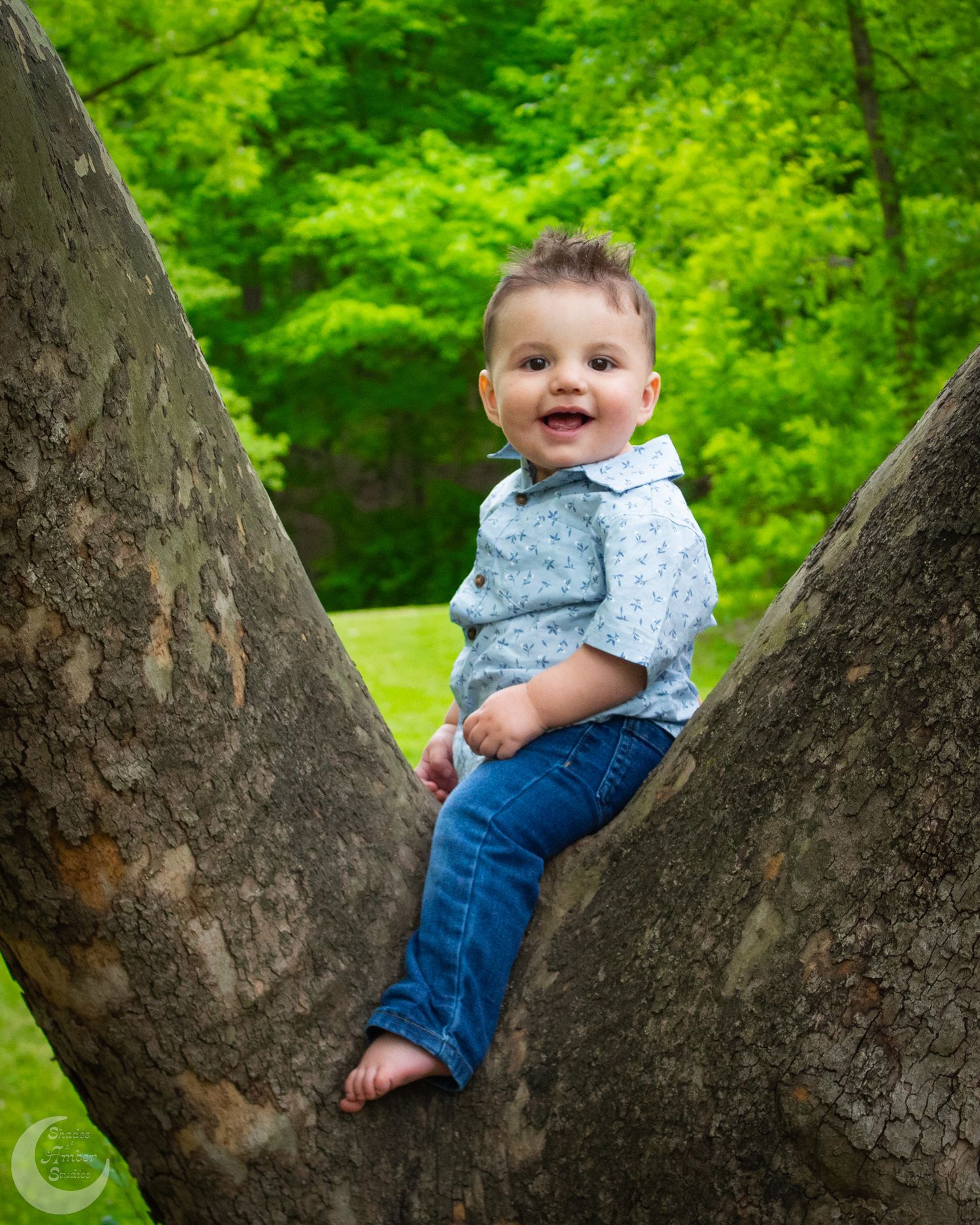A small child climbs on a large tree trunk in a lush green park setting.