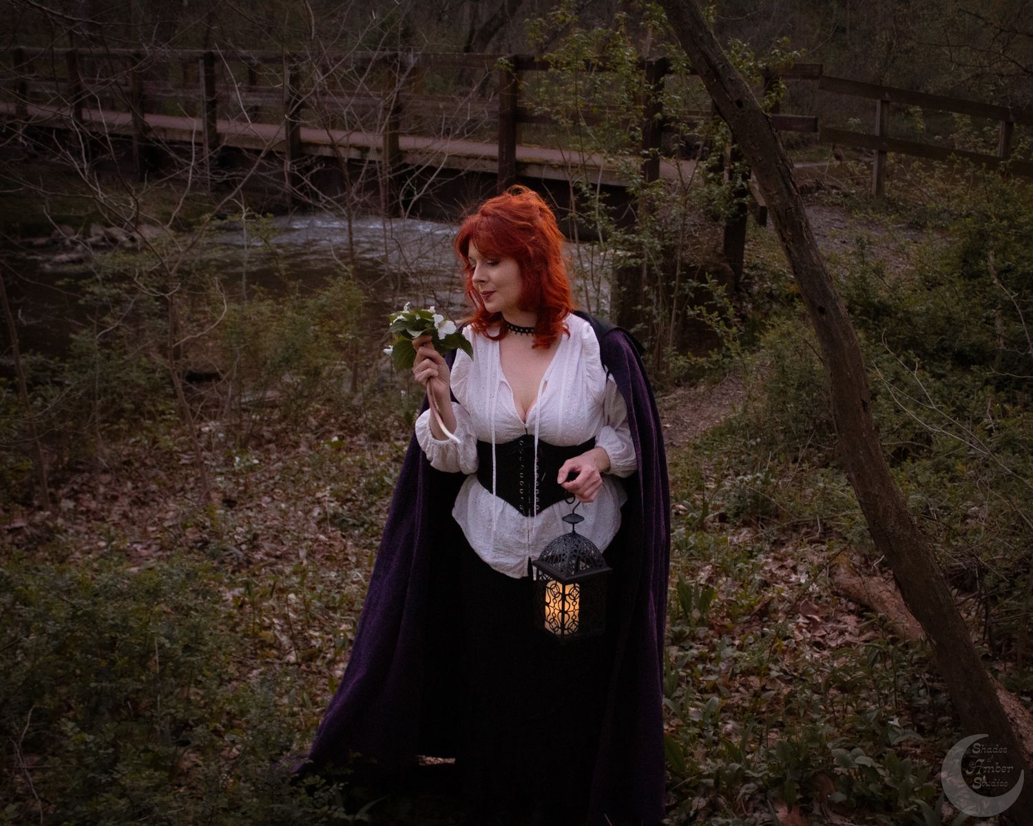 A moody forest scene captured in a series of dark, atmospheric shots featuring Gothic and Victorian-inspired fashion styling.