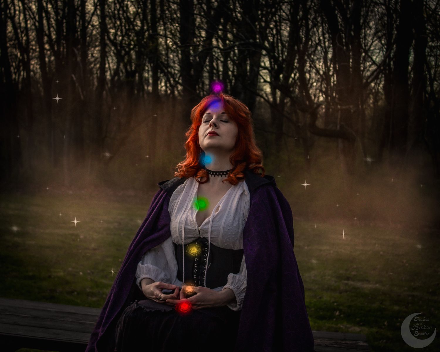 A mystical forest scene with a figure in purple cape and medieval costume looking upward.