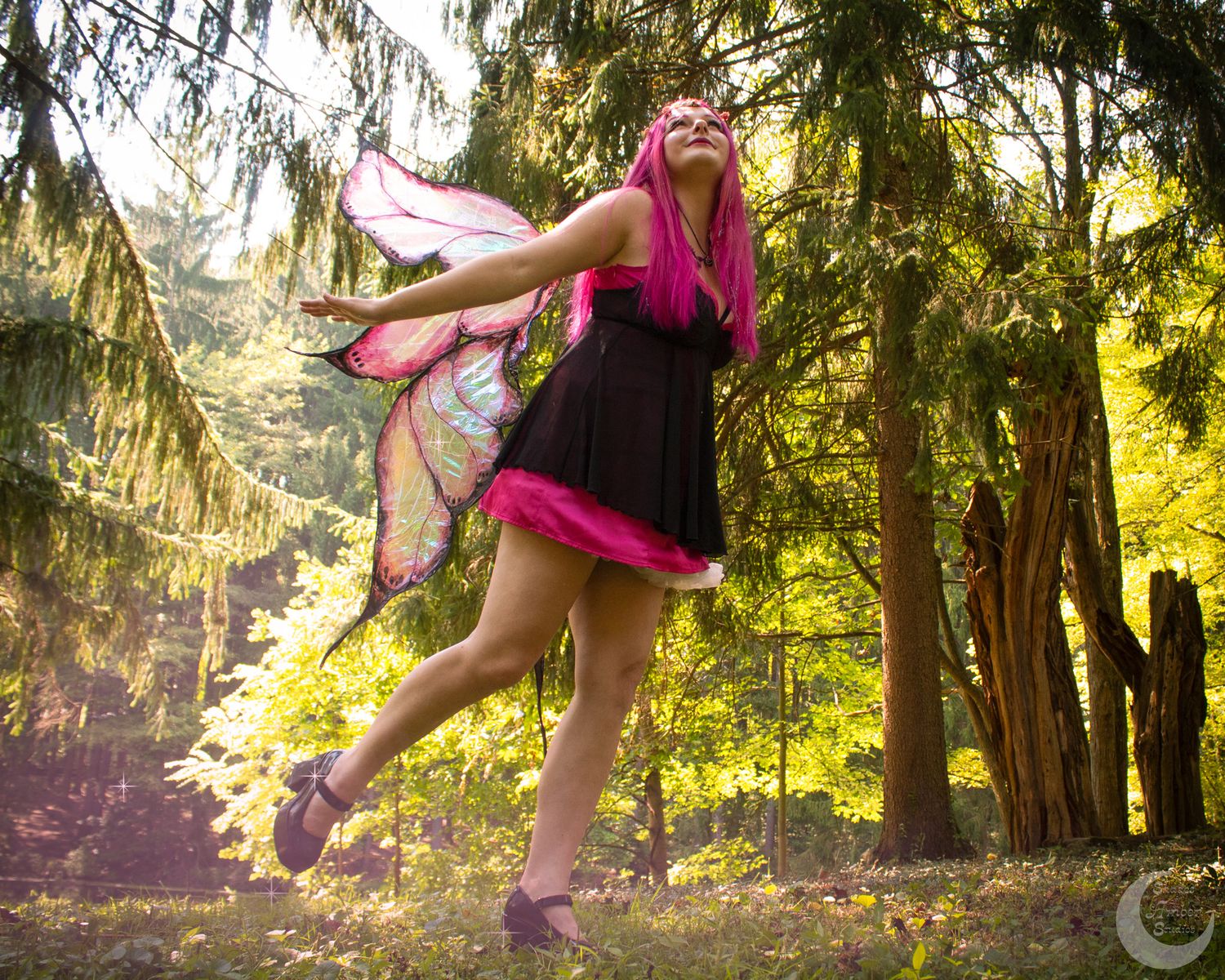 Dynamic dance poses photographed against towering evergreen trees in warm afternoon light.