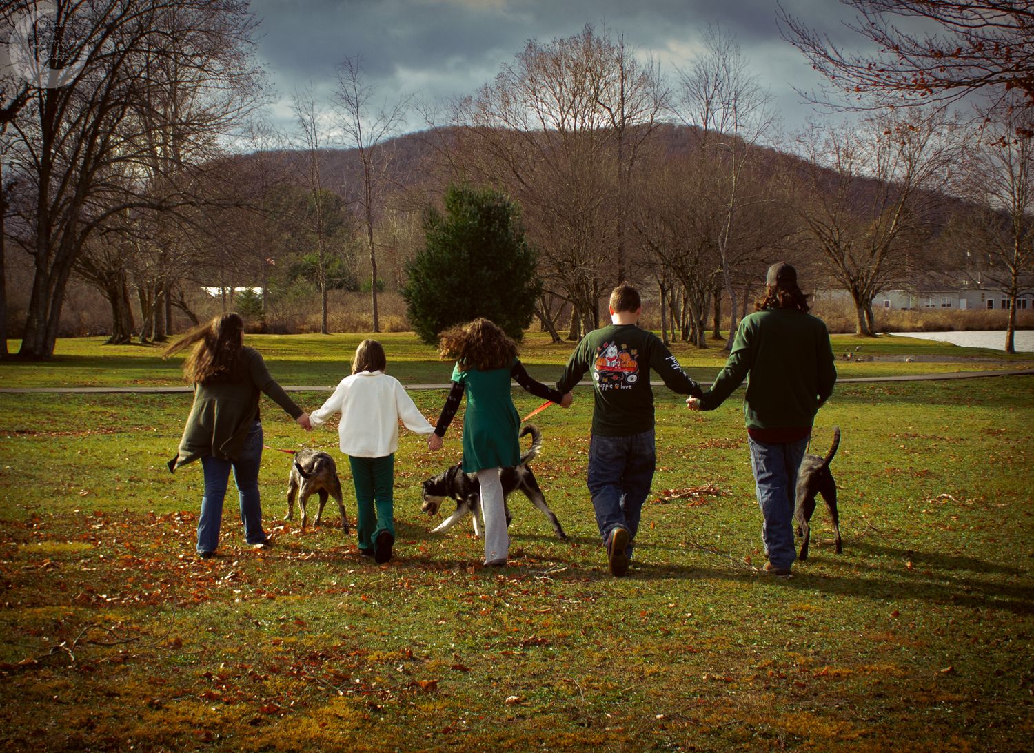 A group walks together holding hands across an autumn field with mountains in the background and two dogs at their sides.