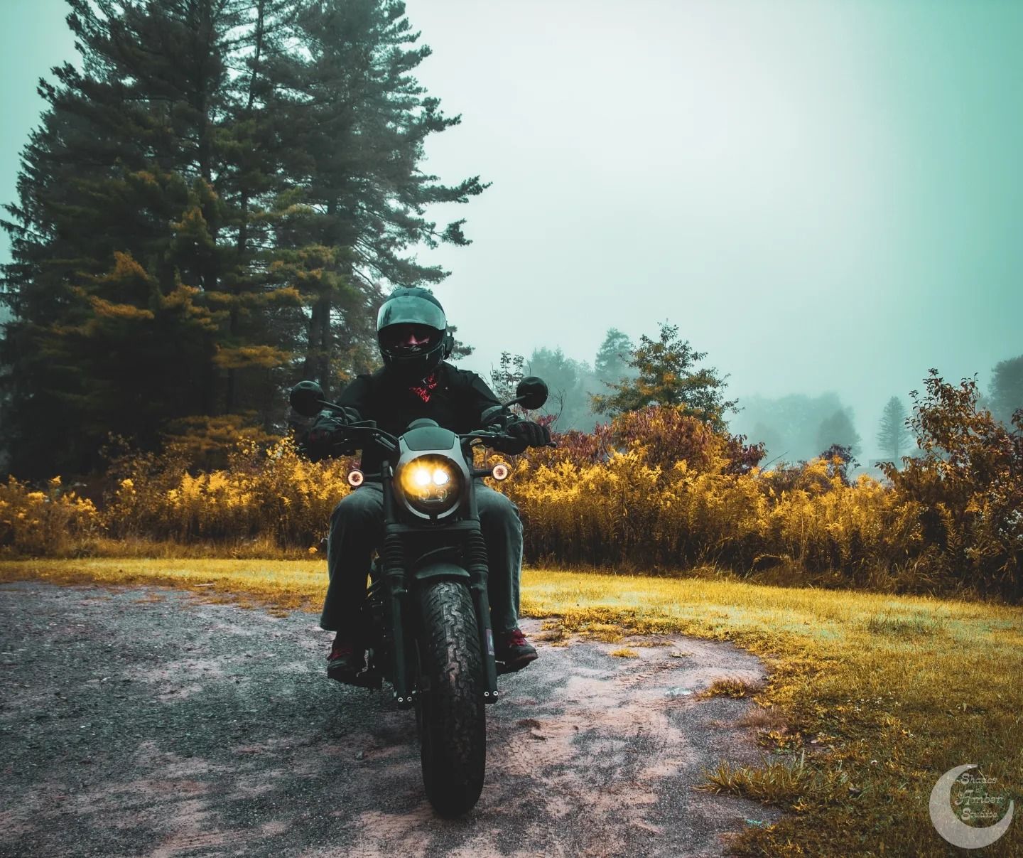 Motorcycle parked on dirt path with misty pine trees and golden autumn foliage in background.