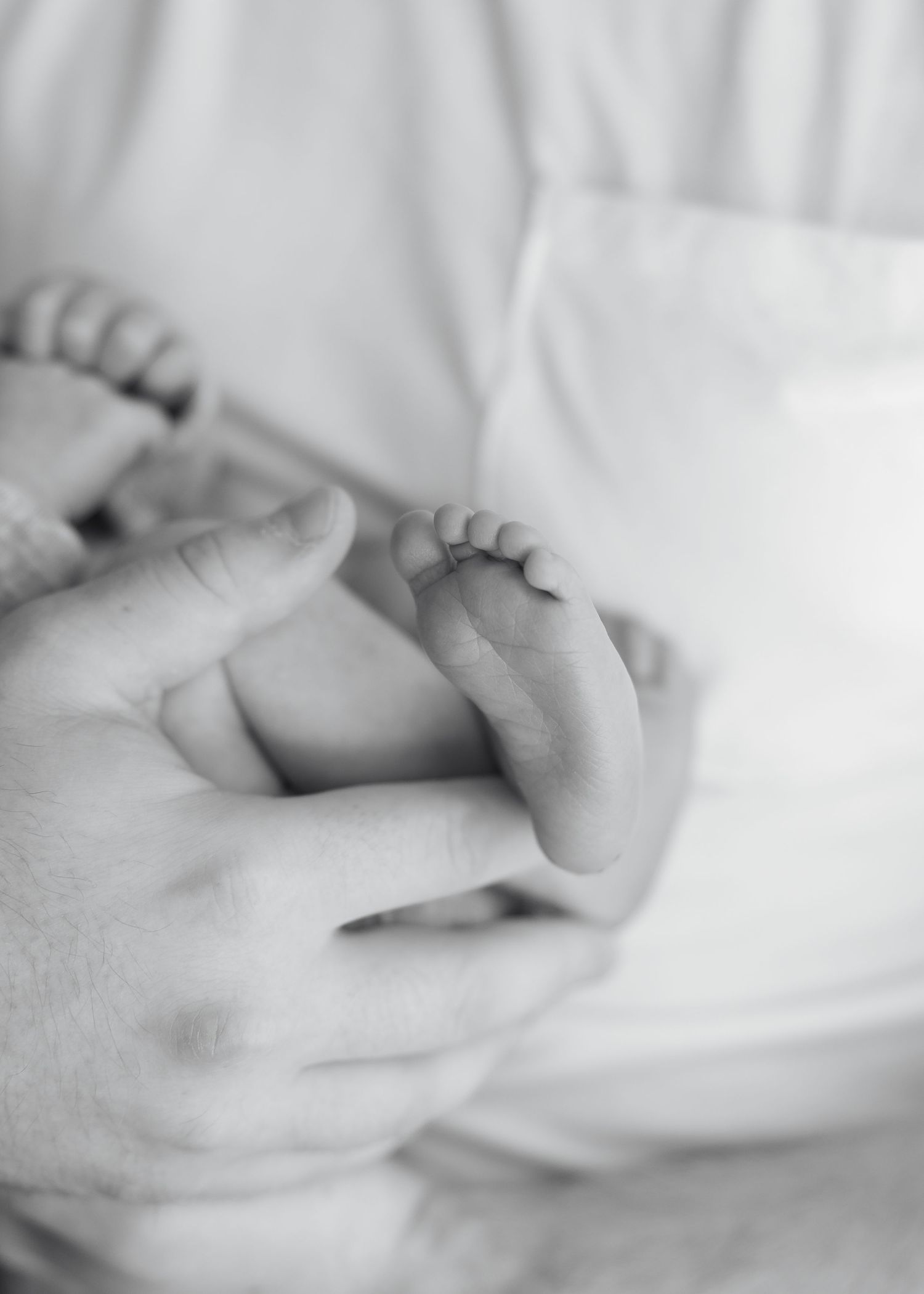 Close-up black and white image of tiny baby feet wrapped in soft white blankets.