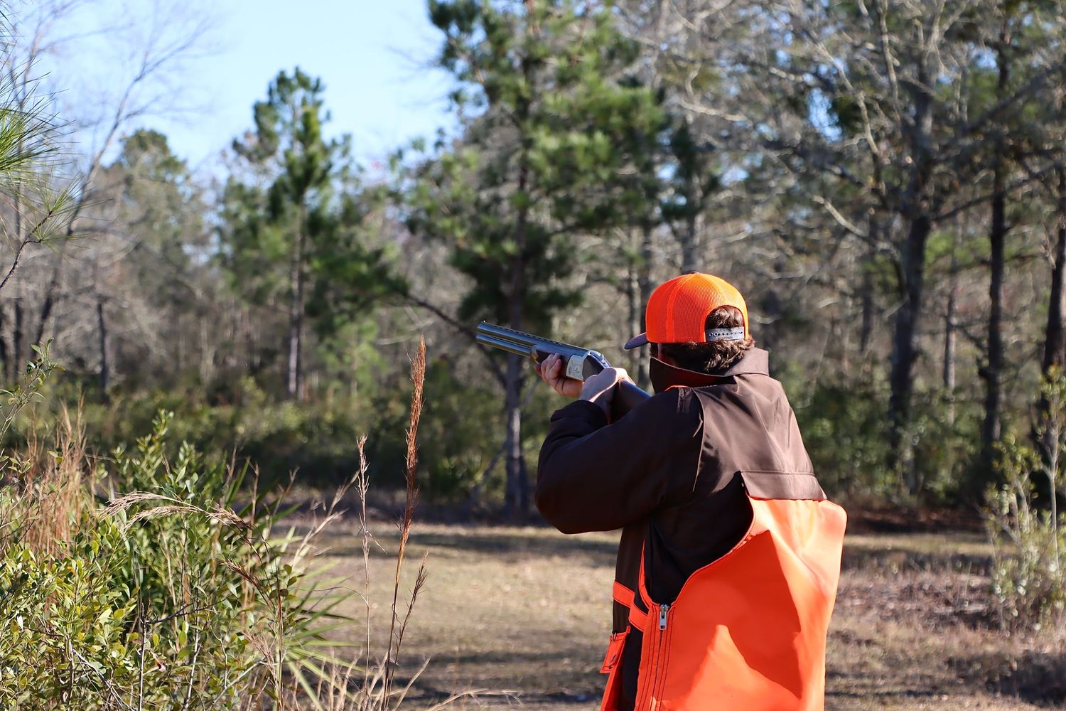 Quail Hunt