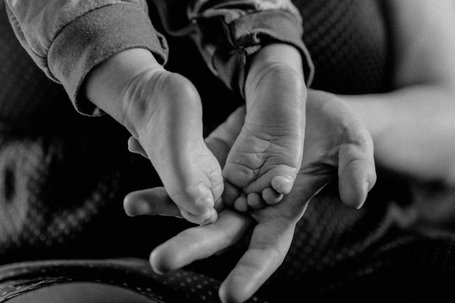 Close-up black and white shot of tiny baby feet resting in adult hands. Newbornfotografie Burglengenfeld