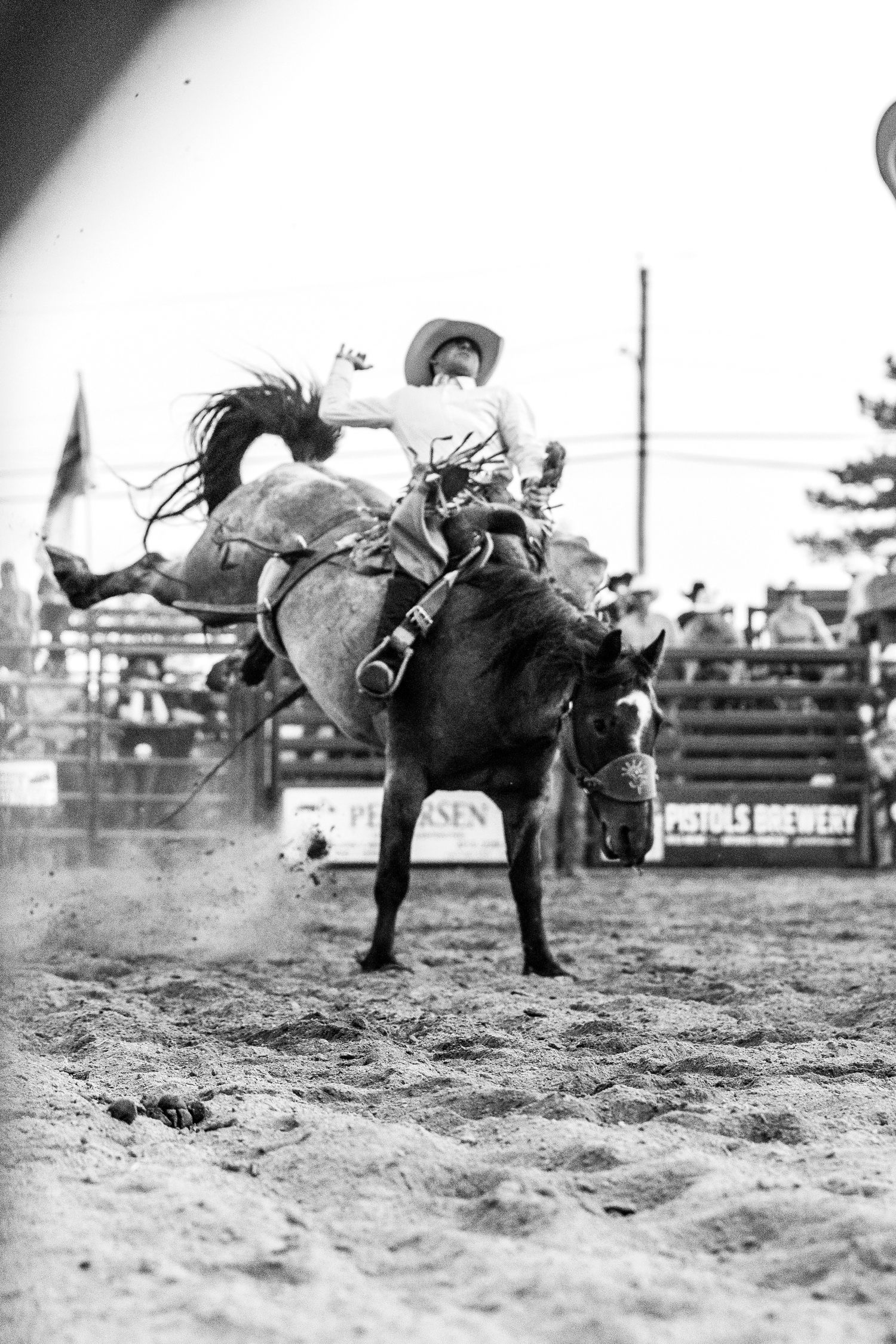 rodeo photography, rodeo photographer, cowboy photography, western lifestyle
