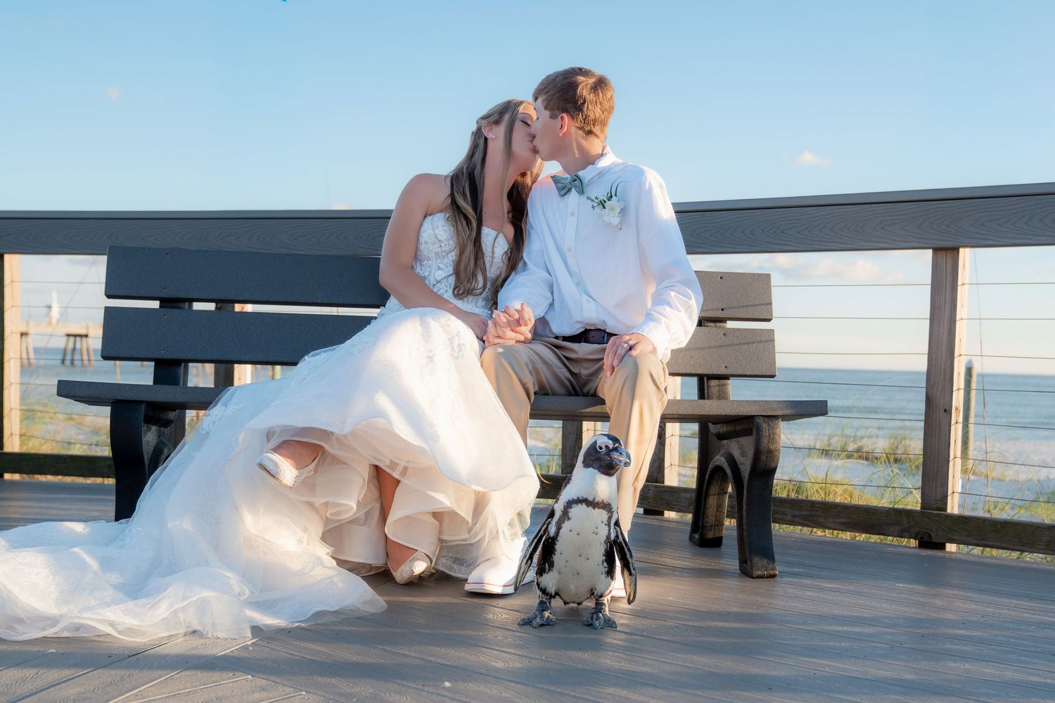 Bride and groom kissing on a bench with a penguin nearby, ocean view backdrop on their wedding day.